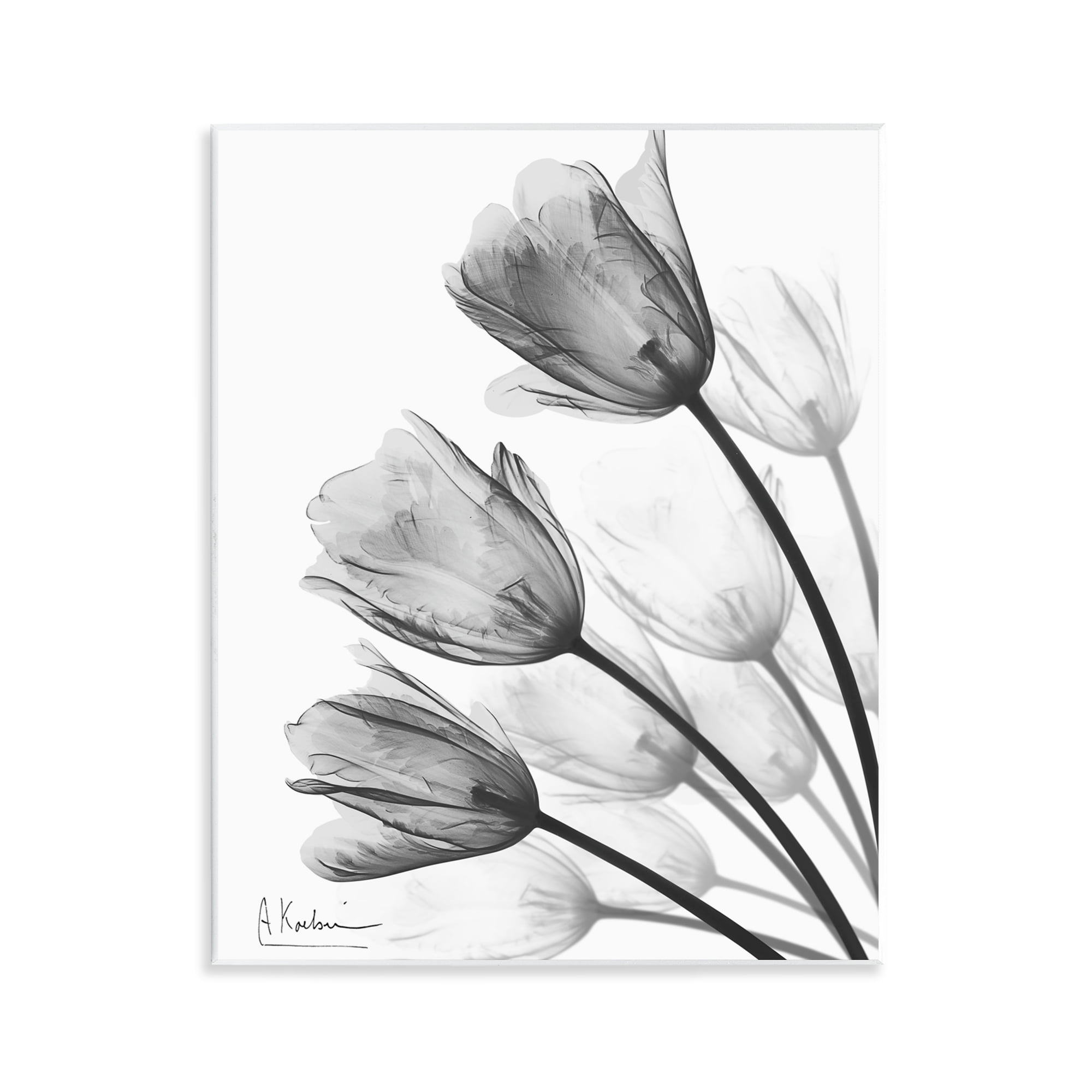Stupell Industries Minimalist Tulip Fan Wall Plaque Art, design by Albert Koetsier