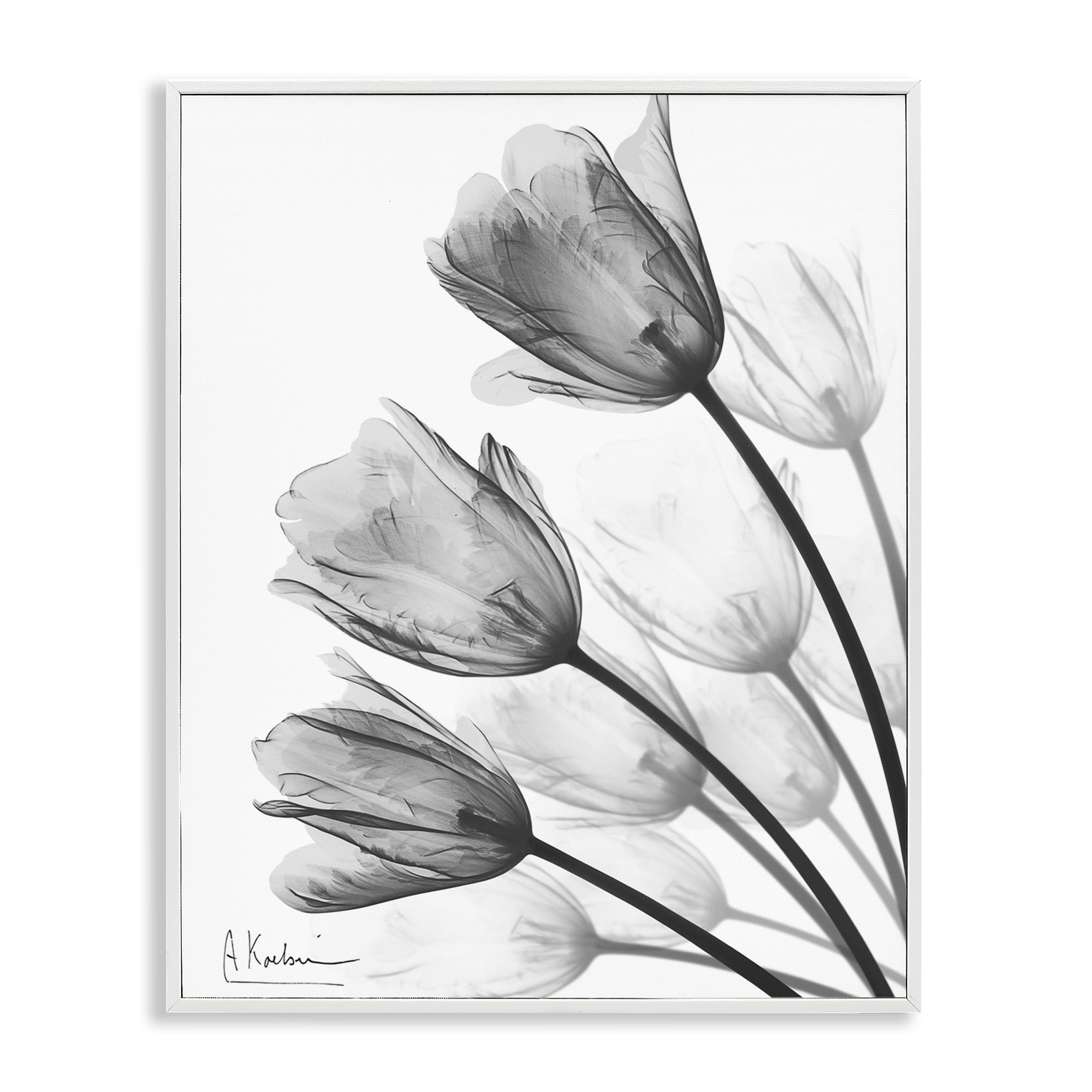 Stupell Industries Minimalist Tulip Fan White Framed Giclee Art, design by Albert Koetsier