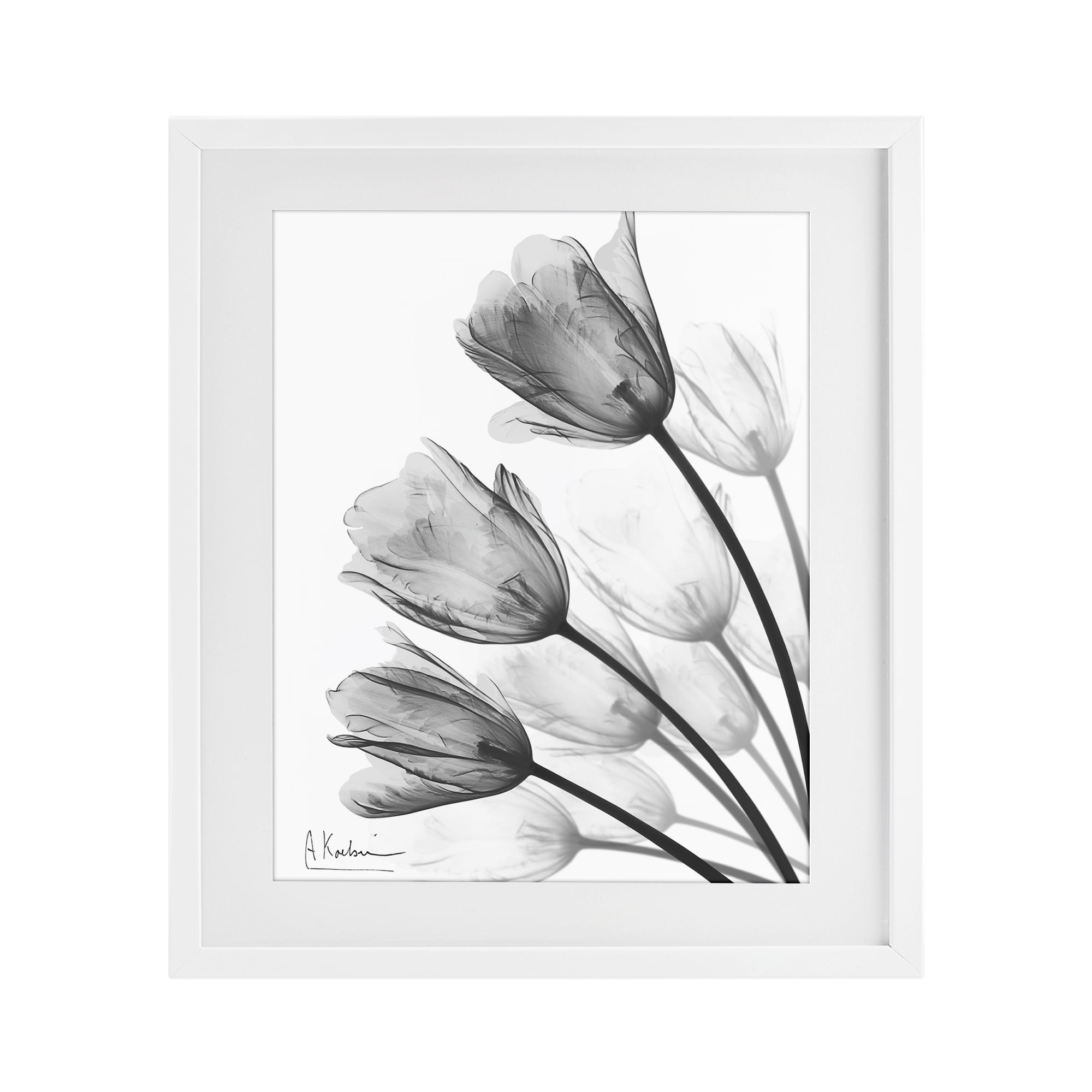 Stupell Industries Minimalist Tulip Fan White Framed Print Under Glass, design by Albert Koetsier