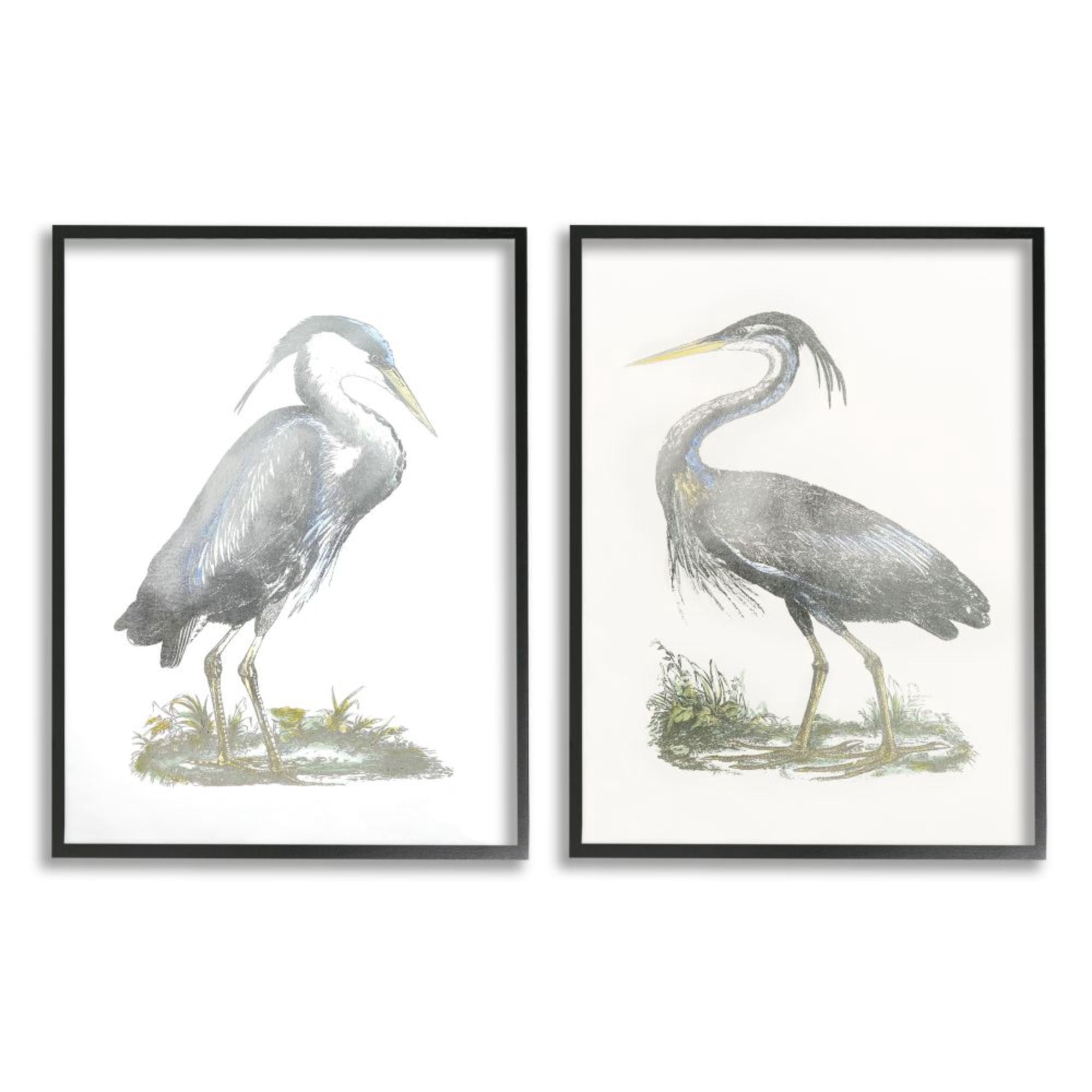 Stupell Industries Minimalist Vintage Cranes Marshland Birds Design by John Selby, 2 Piece, 11" x 14", Black Framed