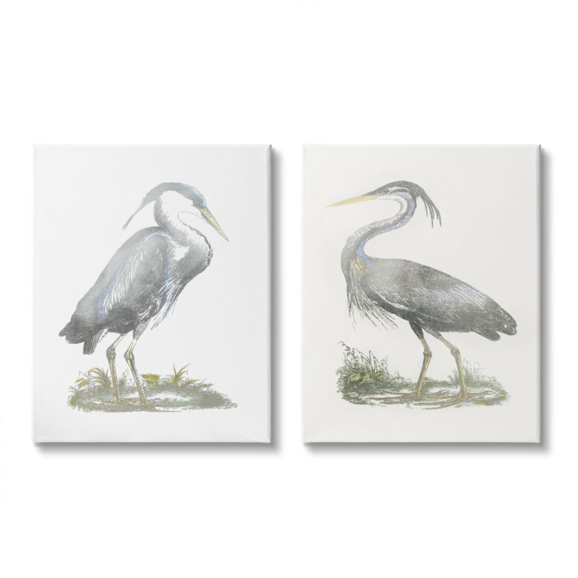 Stupell Industries Minimalist Vintage Cranes Marshland Birds Design by John Selby, 2 Piece, 16" x 20"