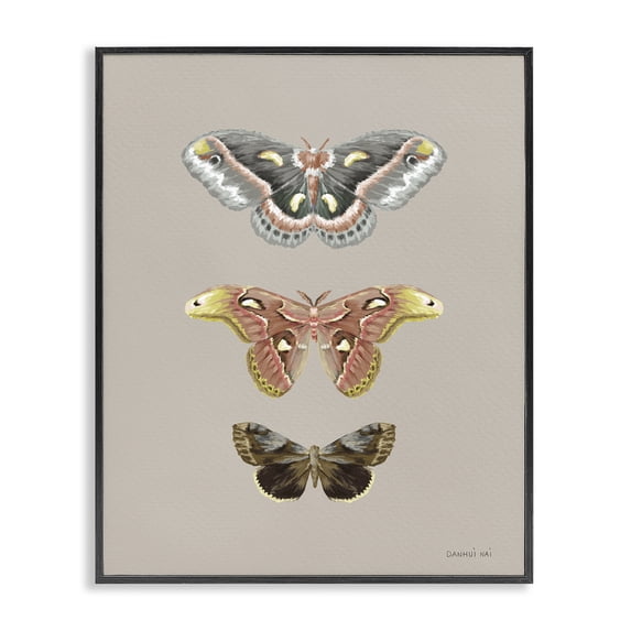 Stupell Industries Minimalist Vintage Moth Specimens Black Framed Giclee Art, 16 x 20, by Danhui Nai