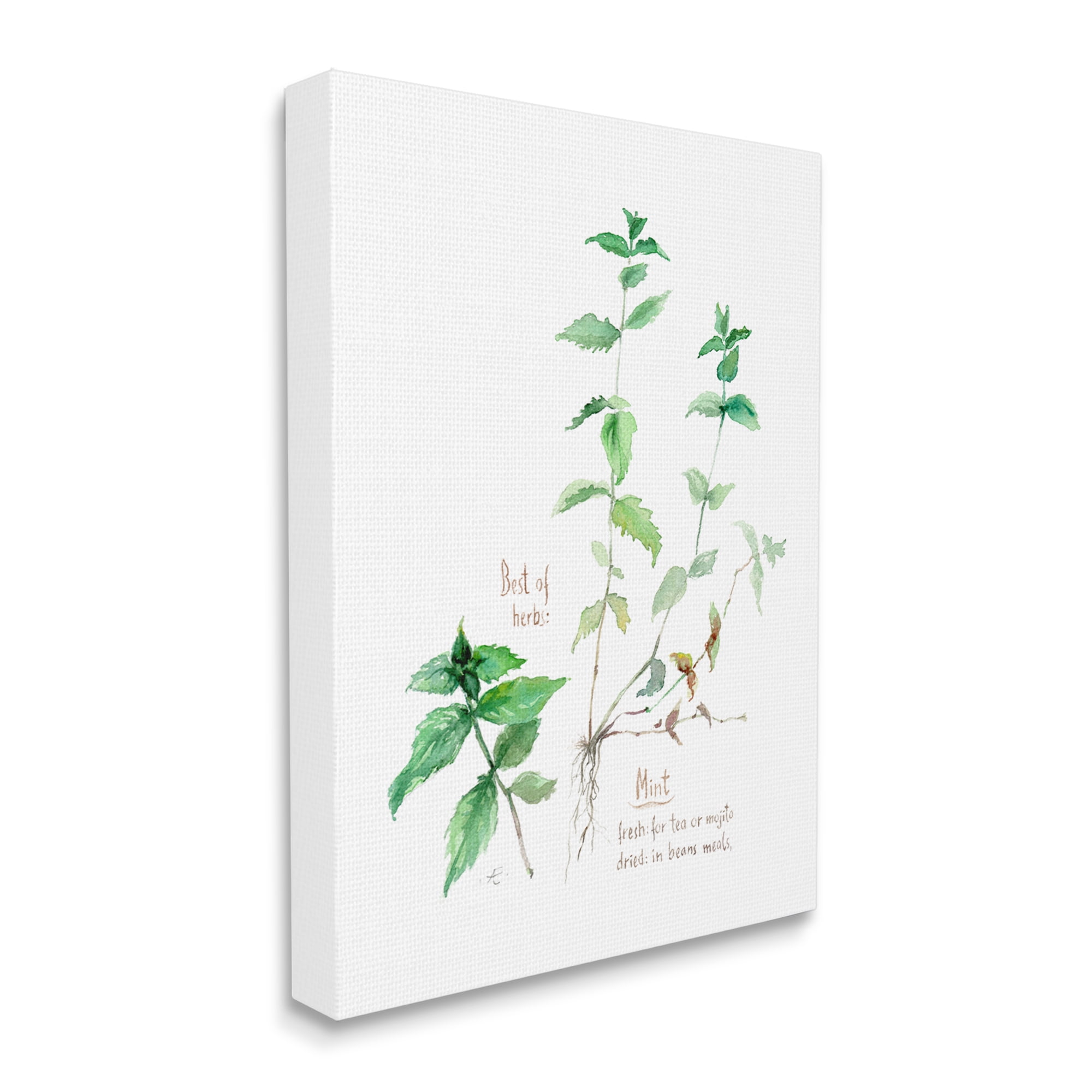 Stupell Industries Mint Sprigs Best of Herbs Watercolor Garden Plants Food & Beverage Painting Gallery Wrapped Canvas Print Wall Art, 36 x 48
