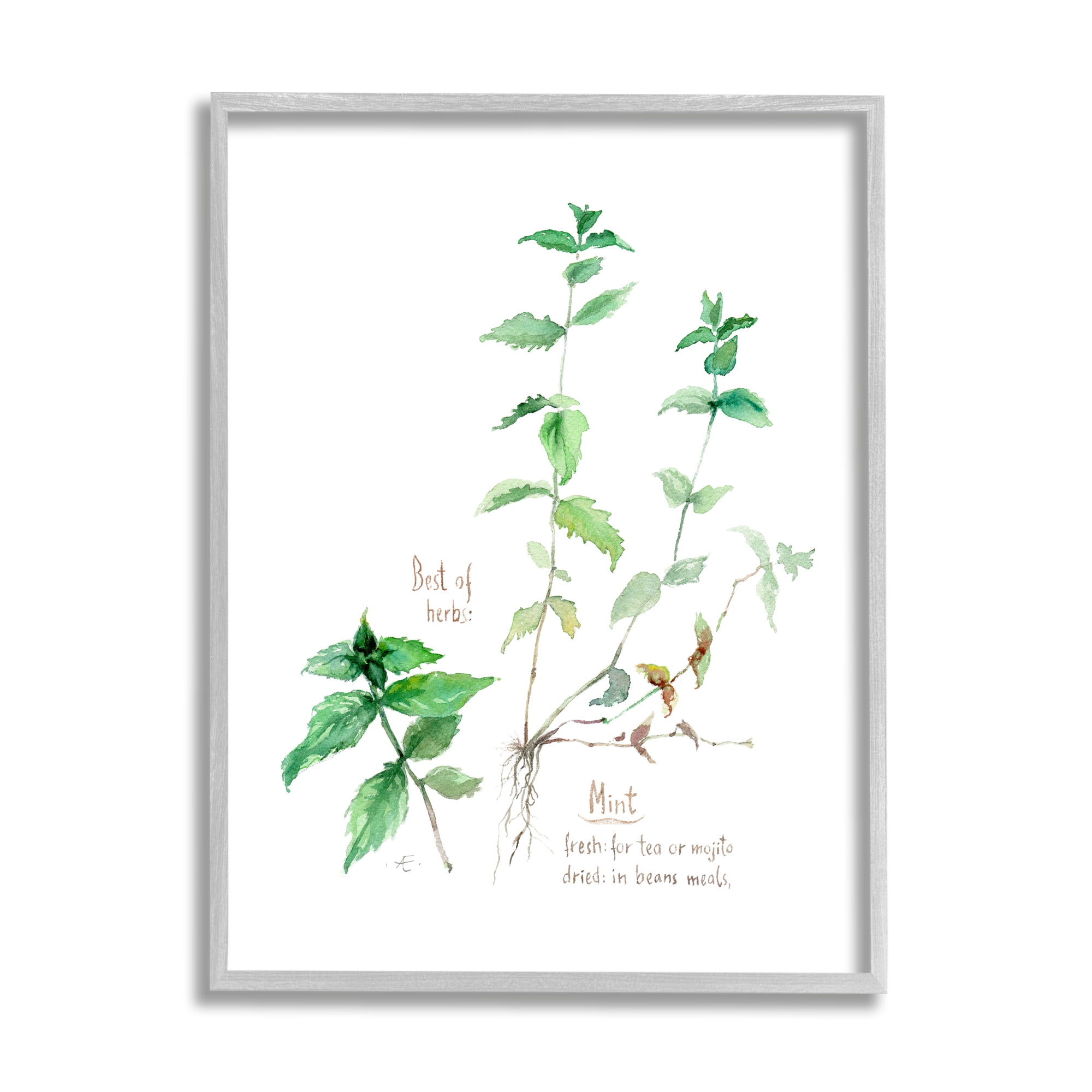Stupell Industries Mint Sprigs Best of Herbs Watercolor Garden Plants Food & Beverage Painting Gray Framed Art Print Wall Art, 11 x 14