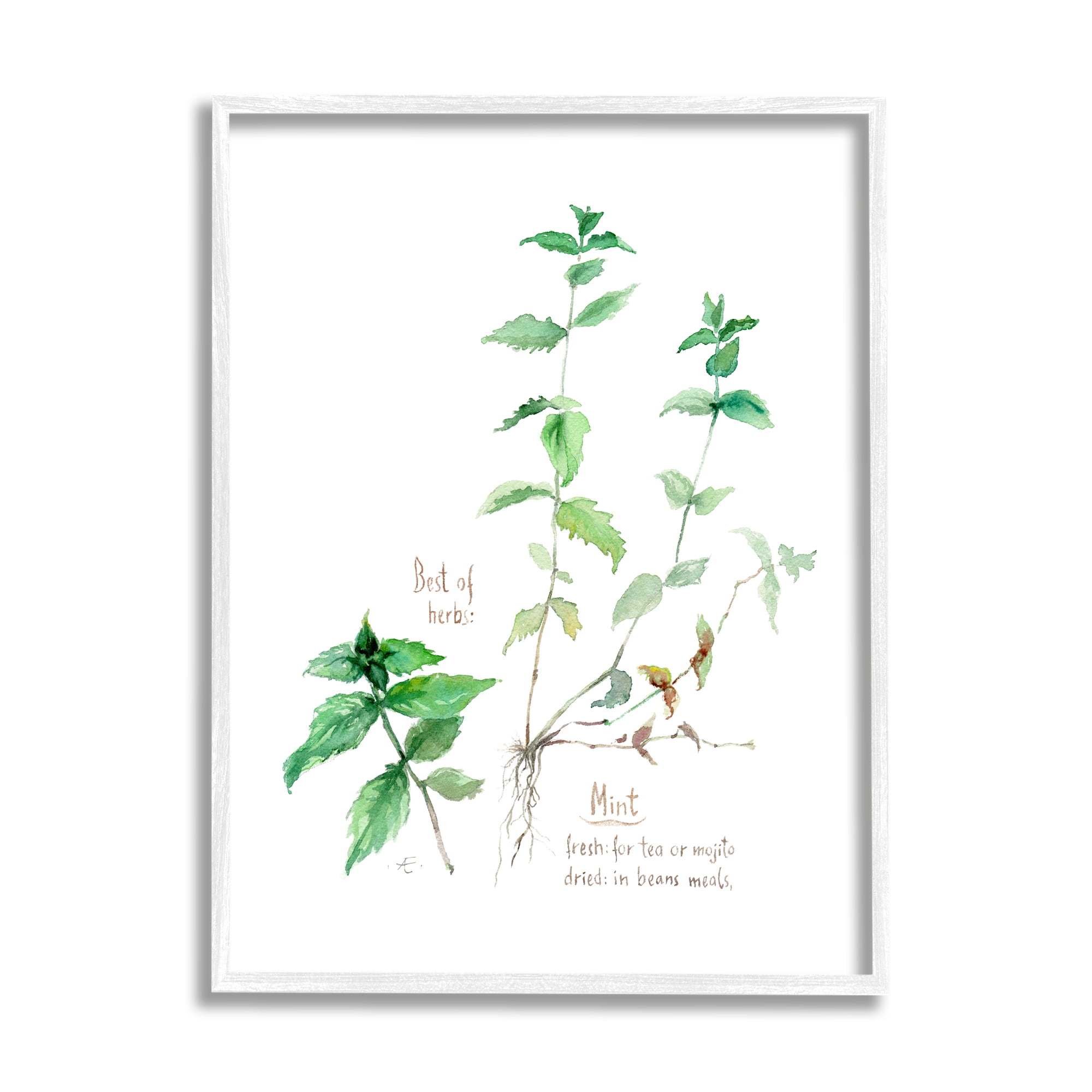 Stupell Industries Mint Sprigs Best of Herbs Watercolor Garden Plants Food & Beverage Painting White Framed Art Print Wall Art, 11 x 14