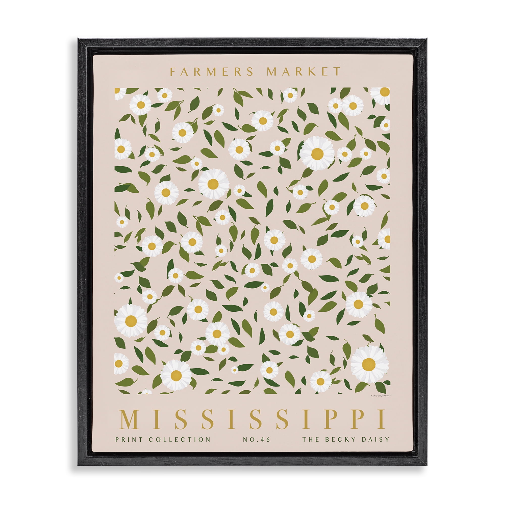 Stupell Industries Mississippi Daisy Pattern Typography Painting Black Floater Framed Art Print Wall Art, 25 x 31