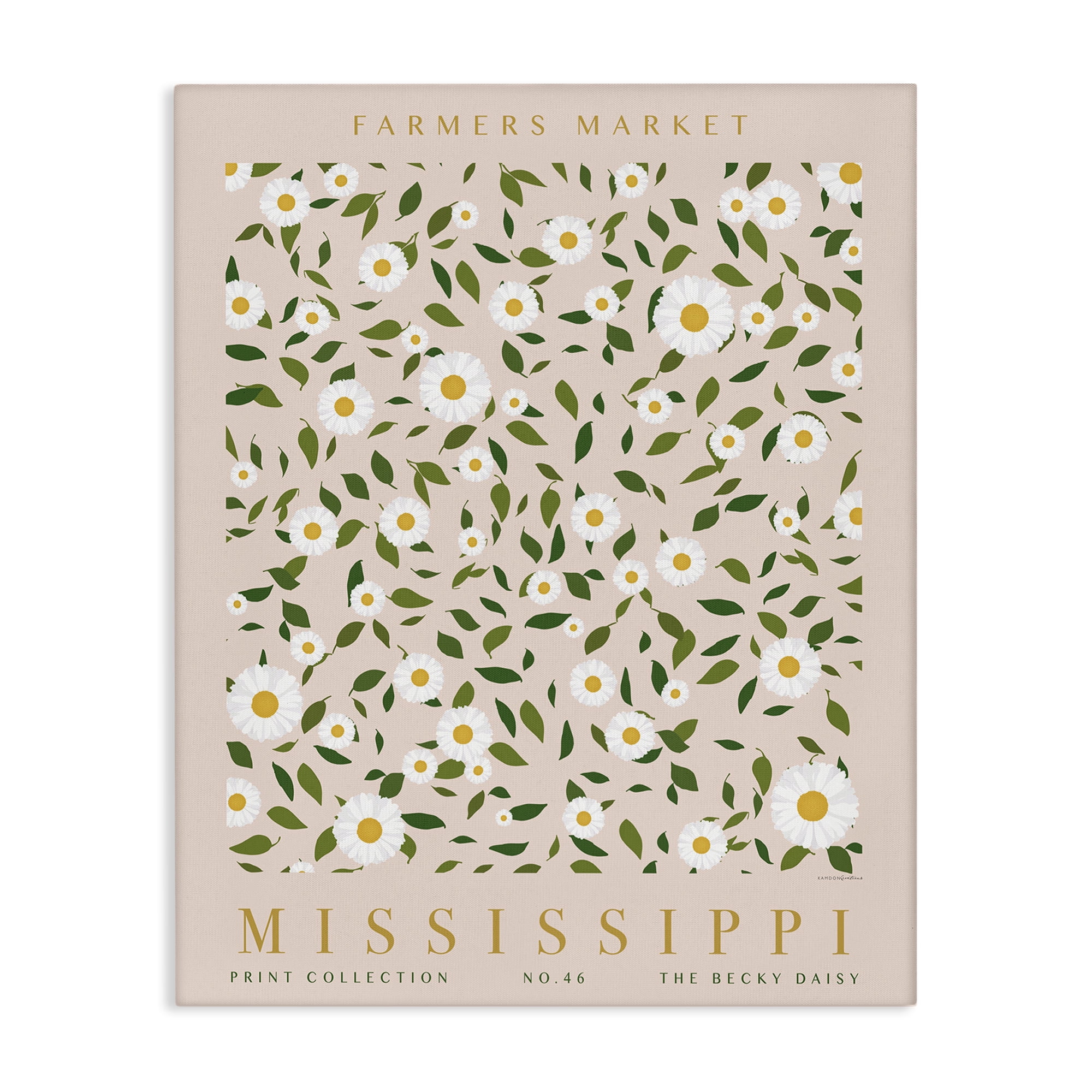 Stupell Industries Mississippi Daisy Pattern Typography Painting Gallery Wrapped Canvas Art Print Wall Art, 16 x 20