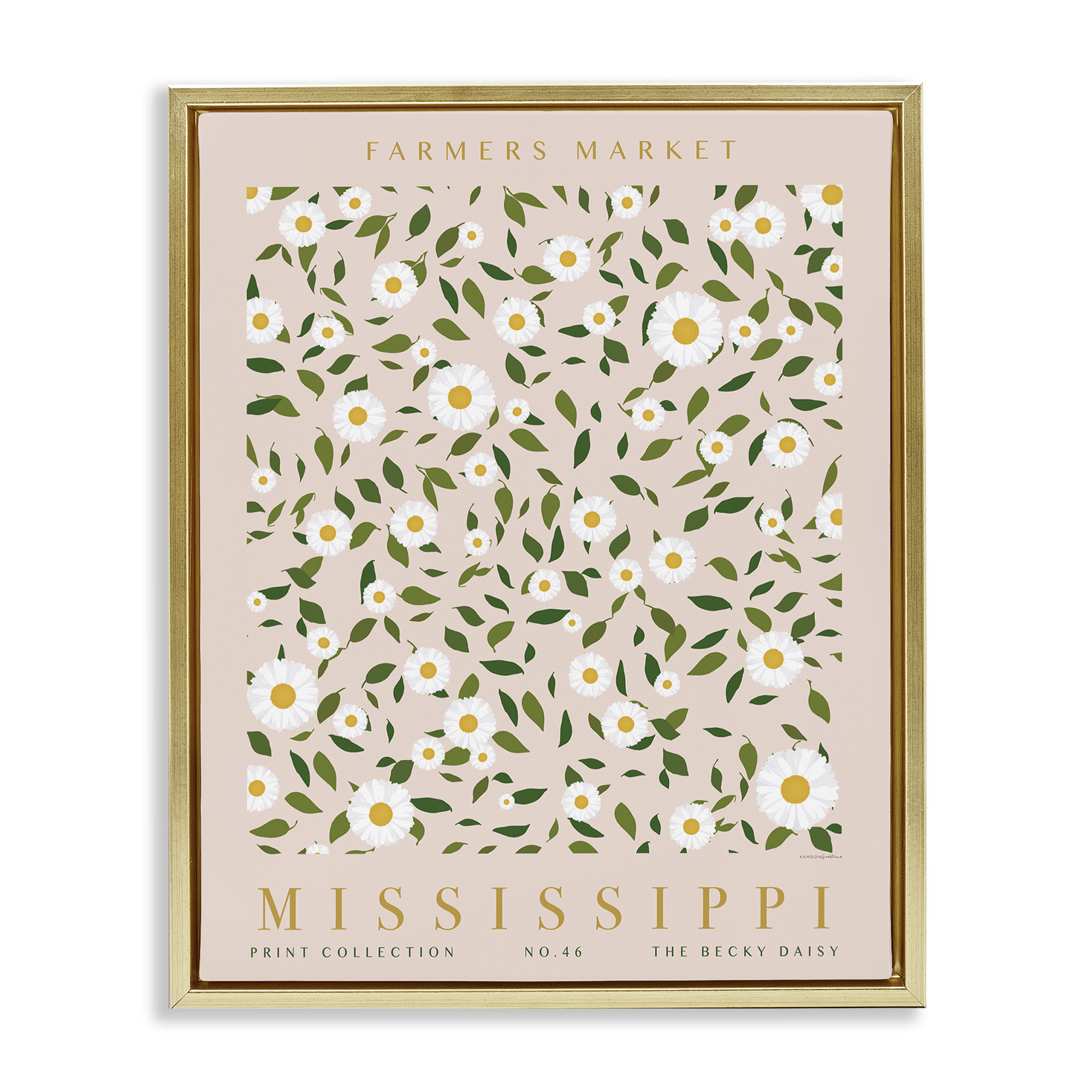 Stupell Industries Mississippi Daisy Pattern Typography Painting Gold Floater Framed Art Print Wall Art, 25 x 31