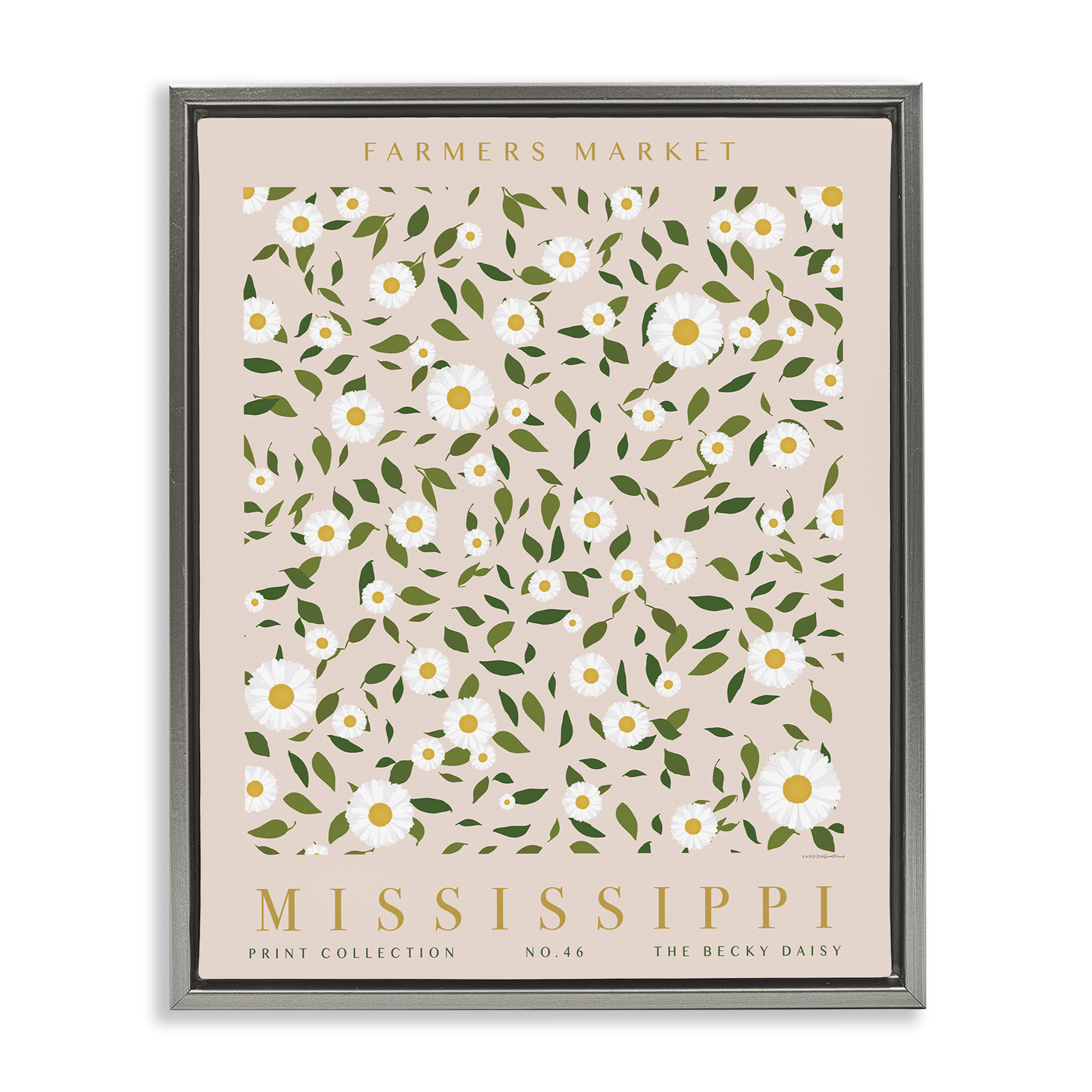 Stupell Industries Mississippi Daisy Pattern Typography Painting Gray Floater Framed Art Print Wall Art, 17 x 21