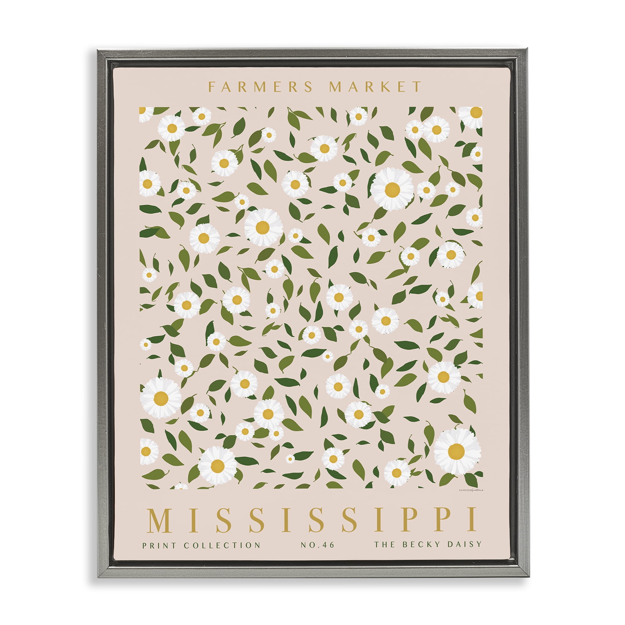 Stupell Industries Mississippi Daisy Pattern Typography Painting Gray Floater Framed Art Print Wall Art, 25 x 31