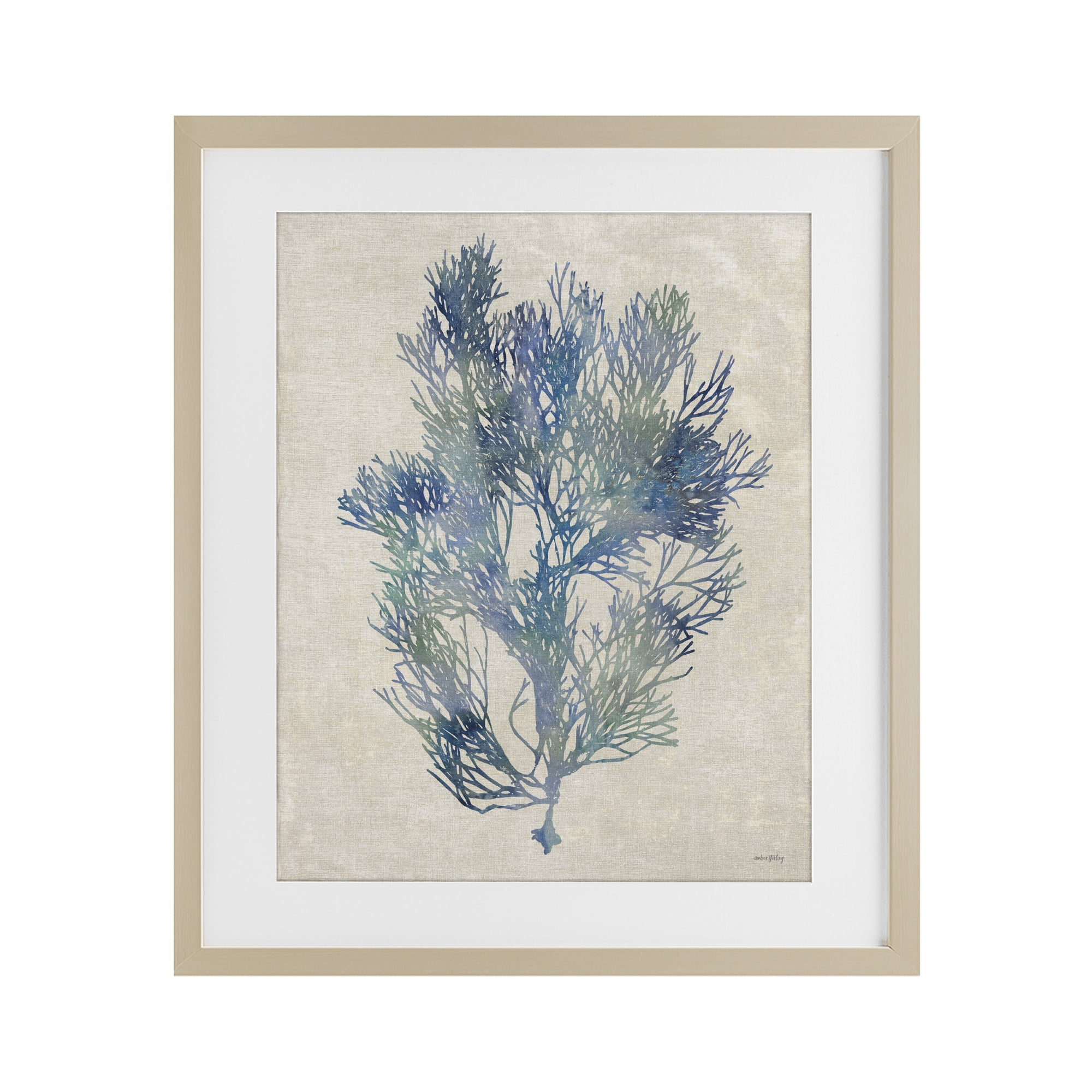 Stupell Industries Misty Blue Coral Study Birch Framed Print Under Glass, design by Amber Sterling
