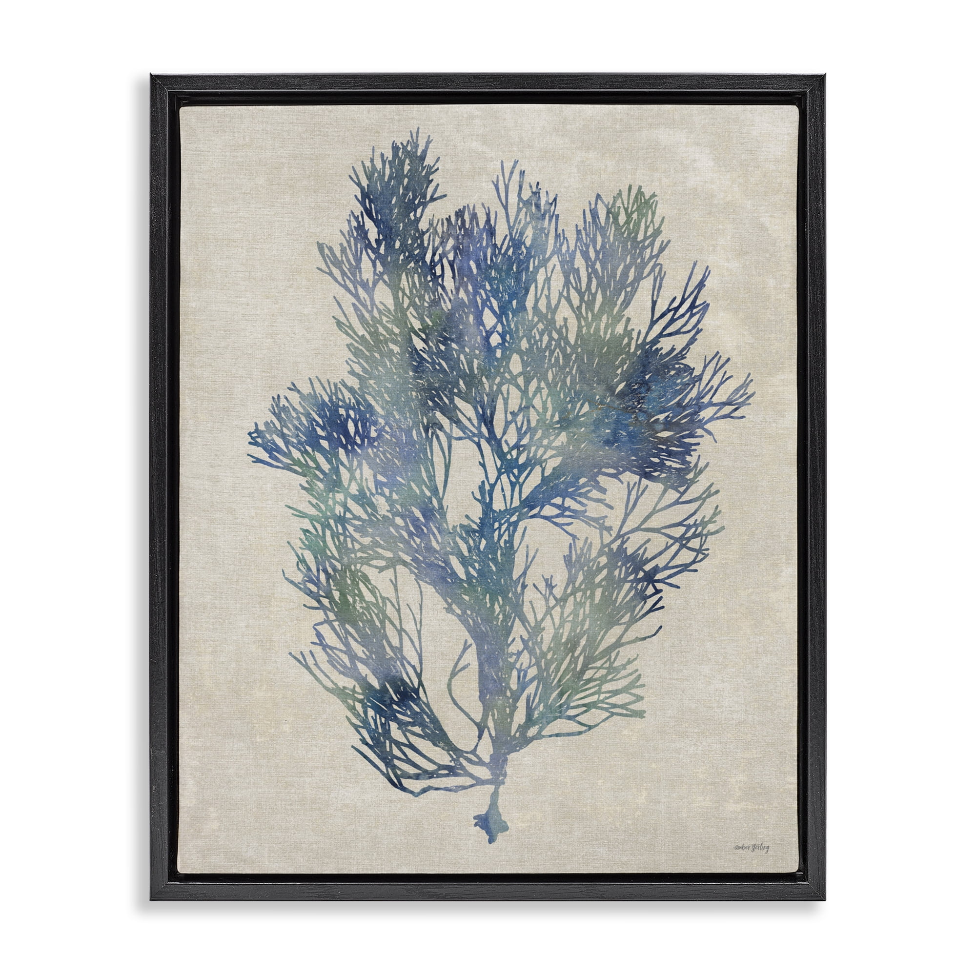 Stupell Industries Misty Blue Coral Study Black Framed Floater Canvas Wall Art, design by Amber Sterling
