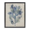 thumbnail image 1 of Stupell Industries Transitional Misty Blue Coral Study Black Floating Frame Canvas Art, 17 x 21, by Amber Sterling, 1 of 8