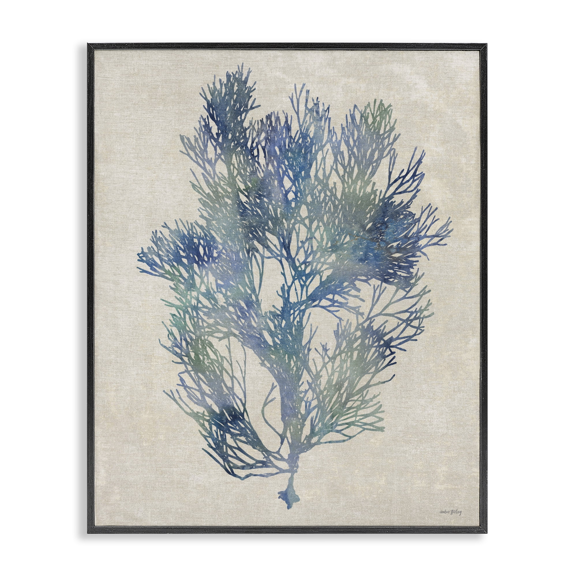 Stupell Industries Misty Blue Coral Study Black Framed Giclee Art, design by Amber Sterling