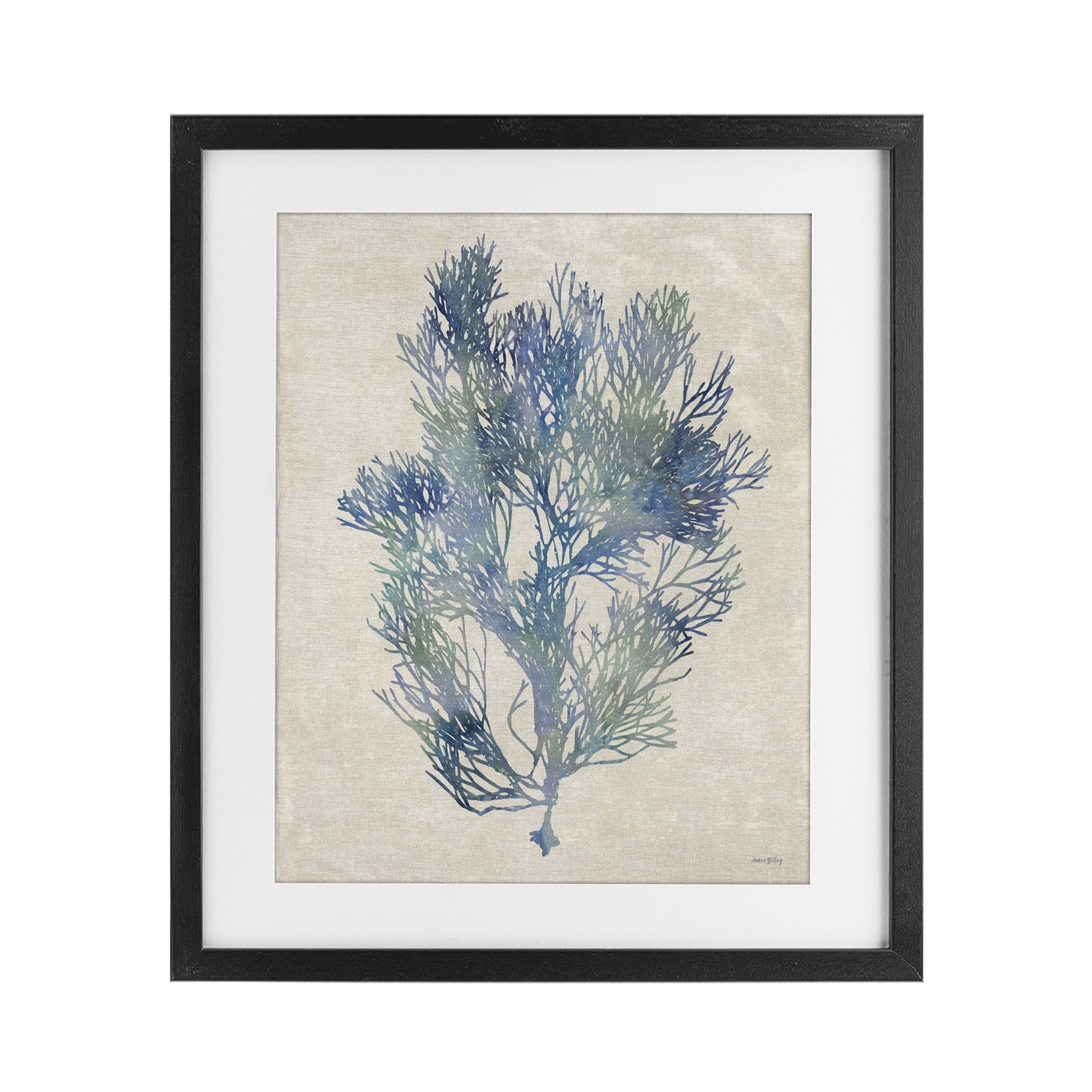 Stupell Industries Misty Blue Coral Study Black Framed Print Under Glass, design by Amber Sterling