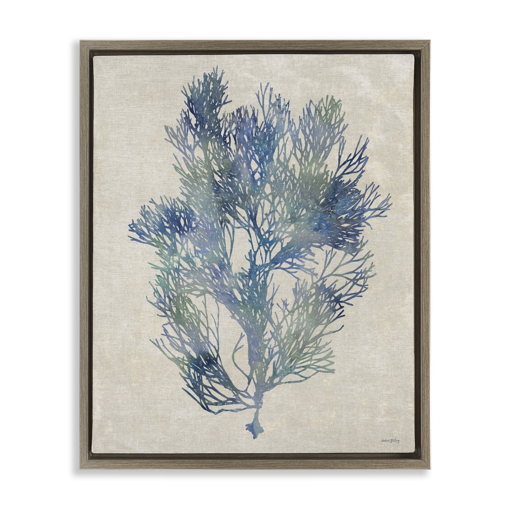 Stupell Industries Misty Blue Coral Study Brown Framed Floater Canvas Wall Art, design by Amber Sterling