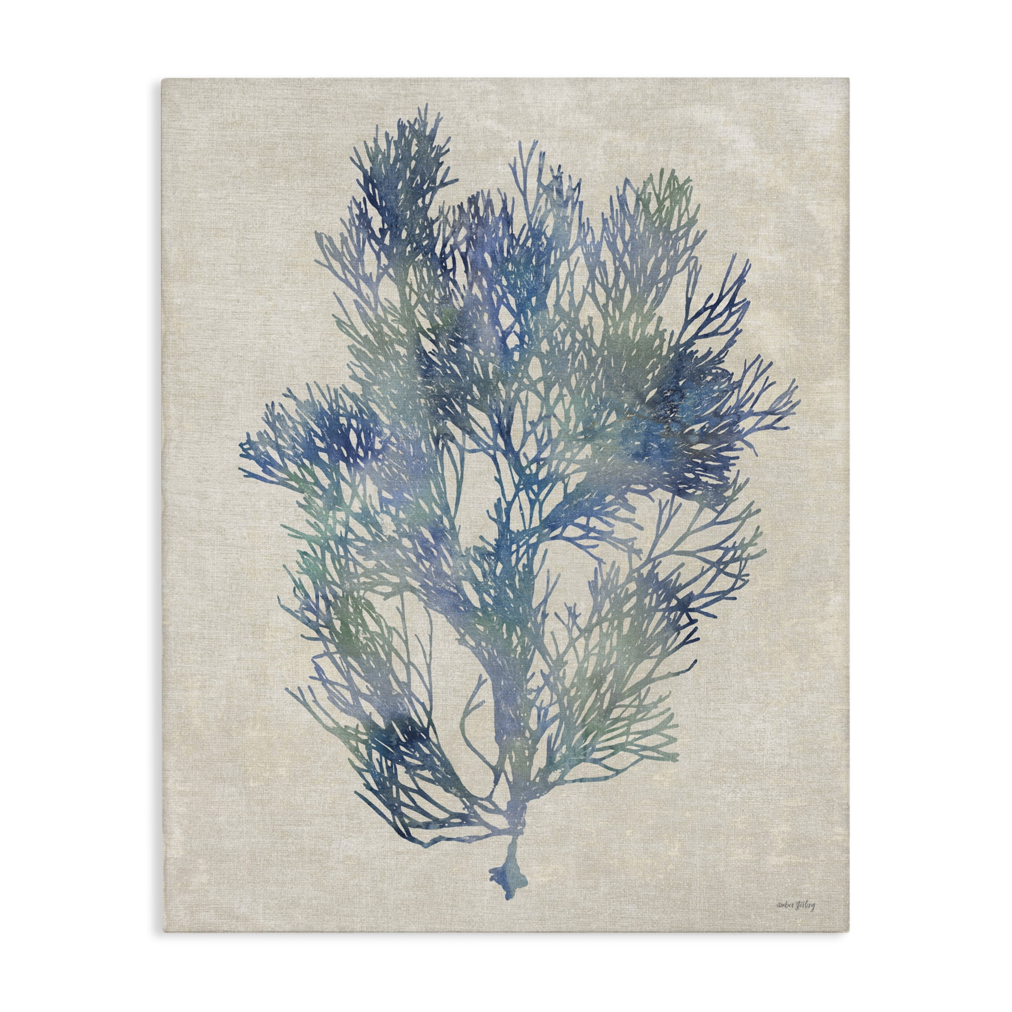 Stupell Industries Misty Blue Coral Study Canvas Wall Art, design by Amber Sterling
