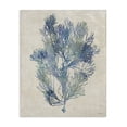 thumbnail image 1 of Stupell Industries Transitional Misty Blue Coral Study Canvas Art, 16 x 20, by Amber Sterling, 1 of 8