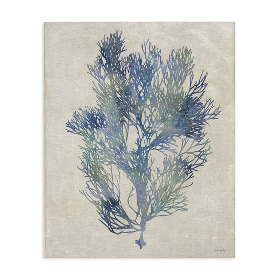 Stupell Industries Transitional Misty Blue Coral Study Canvas Art, 16 x 20, by Amber Sterling