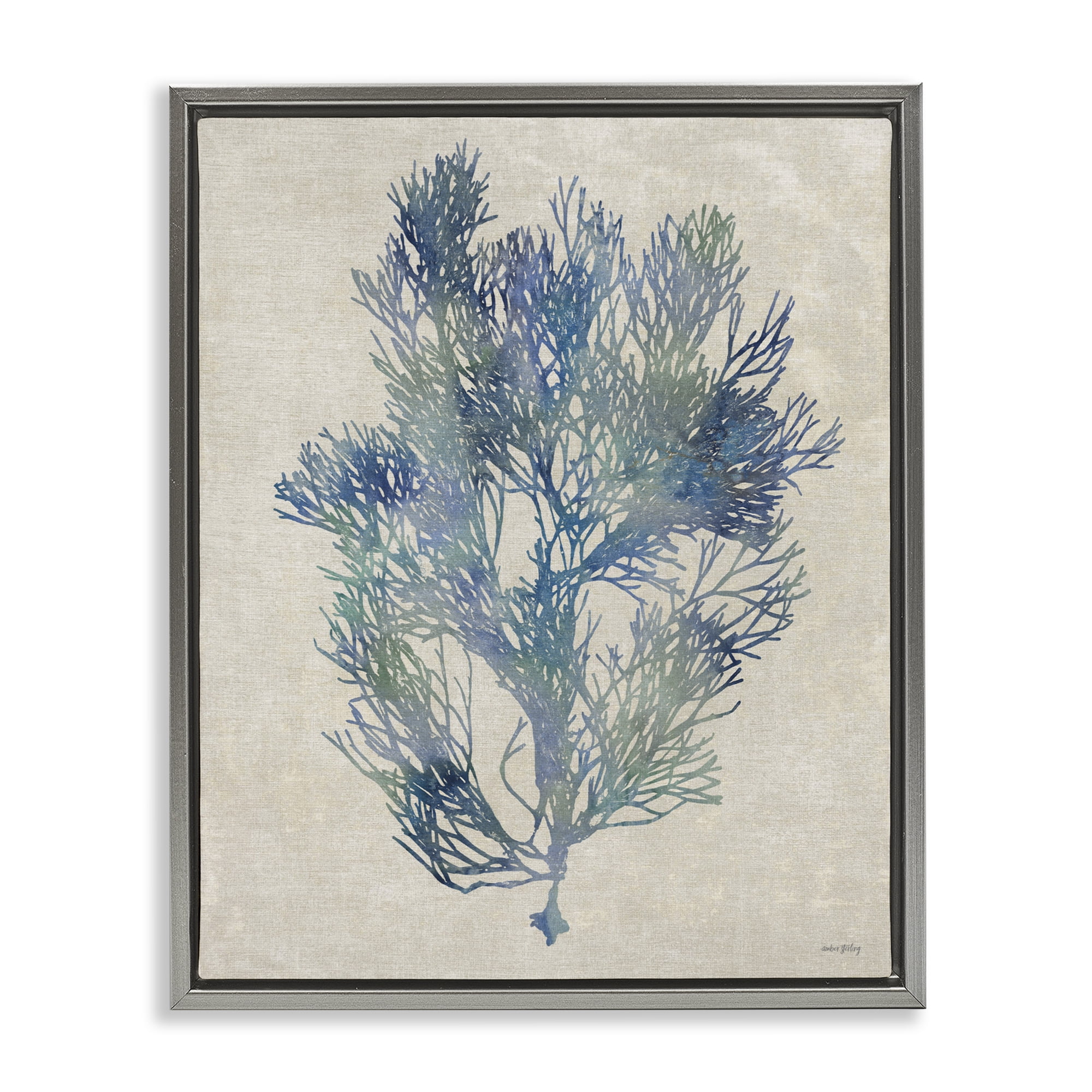 Stupell Industries Misty Blue Coral Study Gray Framed Floater Canvas Wall Art, design by Amber Sterling