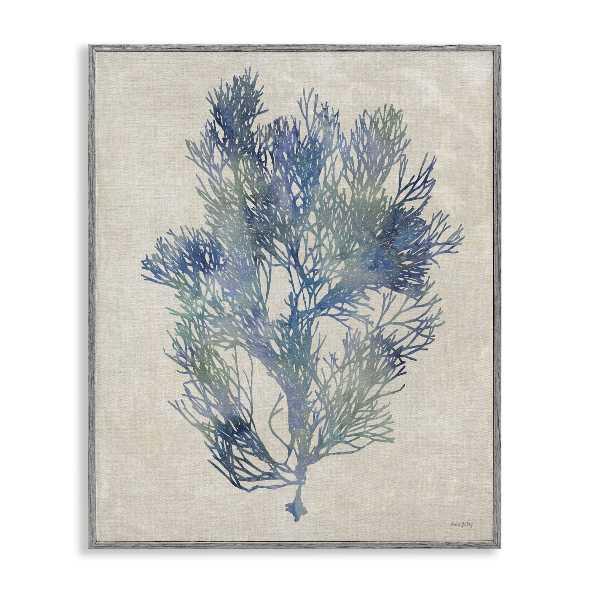 Stupell Industries Misty Blue Coral Study Gray Framed Giclee Art, design by Amber Sterling