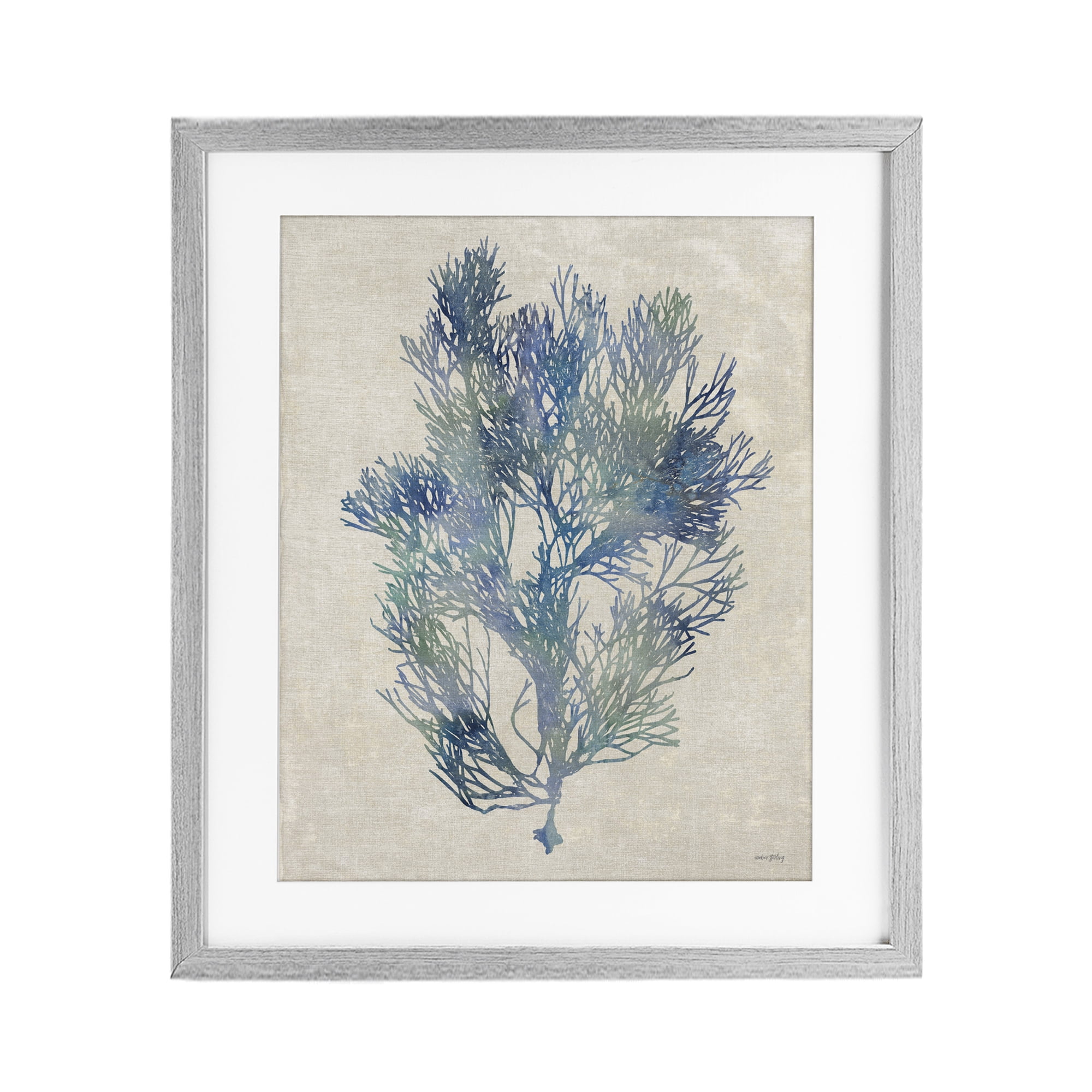 Stupell Industries Misty Blue Coral Study Gray Framed Print Under Glass, design by Amber Sterling