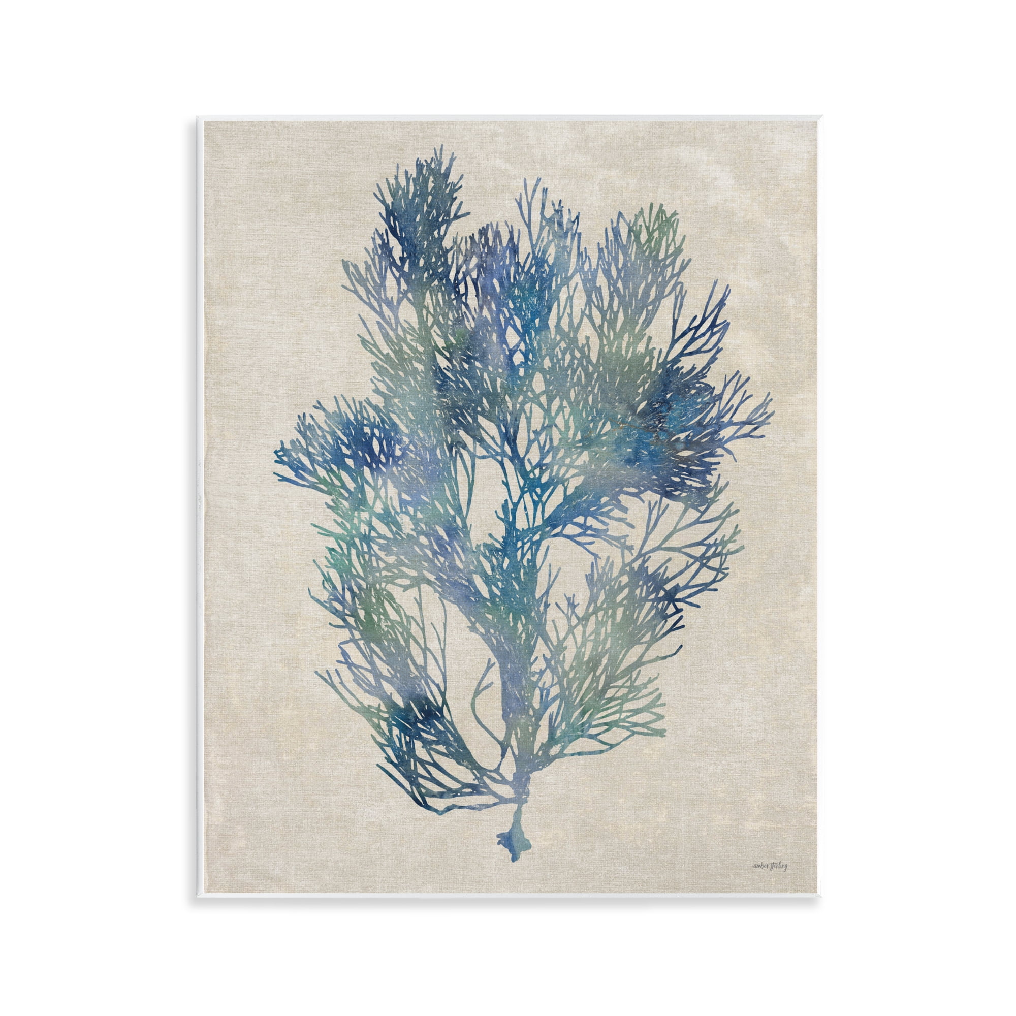 Stupell Industries Misty Blue Coral Study Wall Plaque Art, design by Amber Sterling