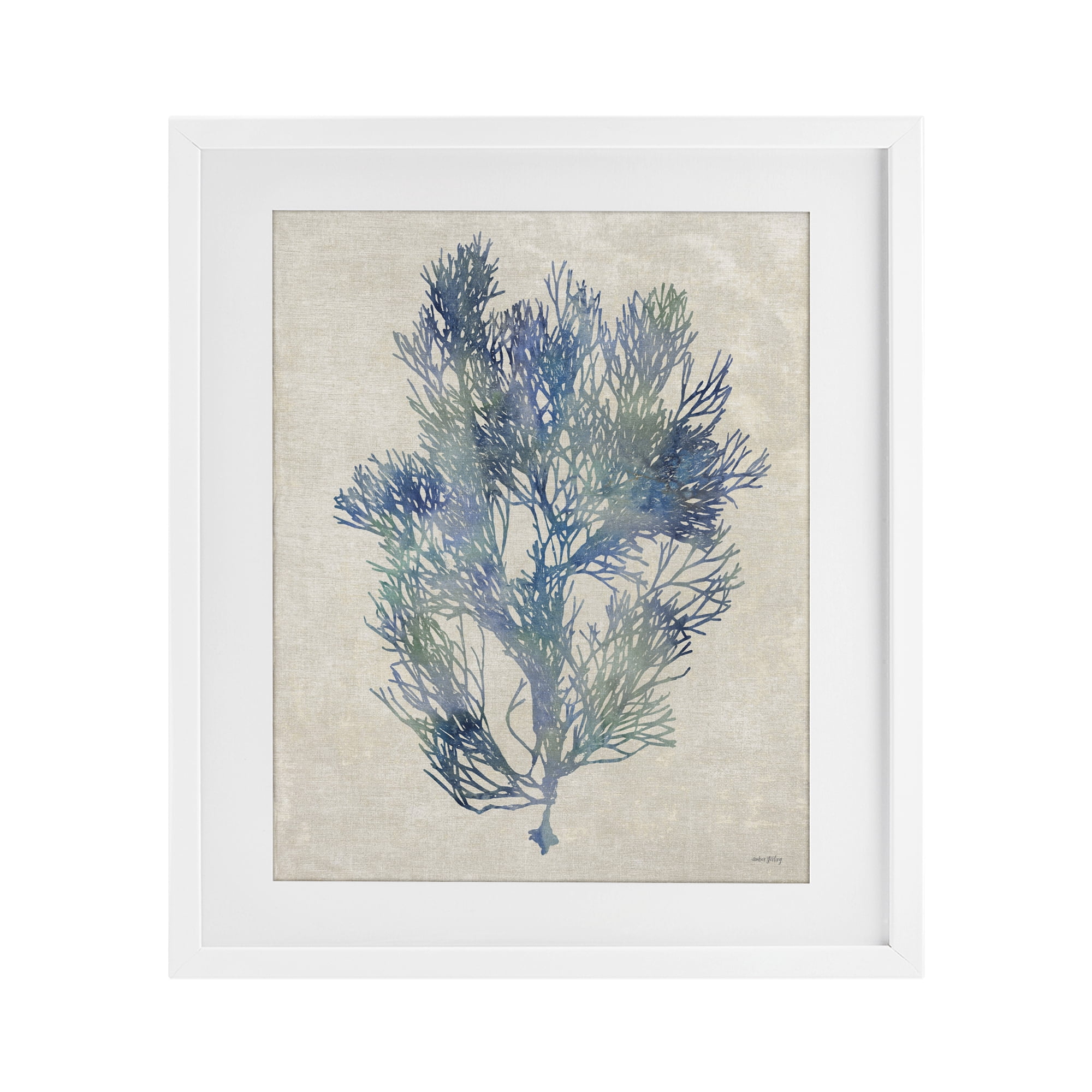Stupell Industries Misty Blue Coral Study White Framed Print Under Glass, design by Amber Sterling