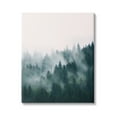 thumbnail image 1 of Stupell Industries Misty Forest Trees Nature Photography Gallery Wrapped Canvas Print Wall Art, 16 x 20, 1 of 7