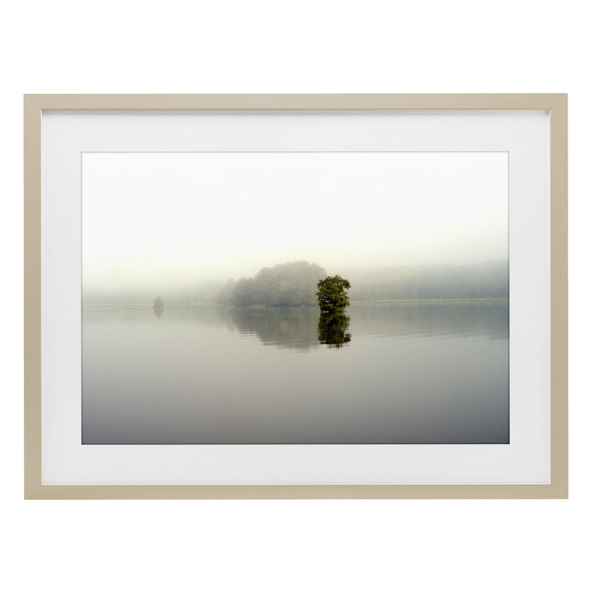 Stupell Industries Misty Lake Reflection Birch Framed Print Under Glass, design by Gail Peck