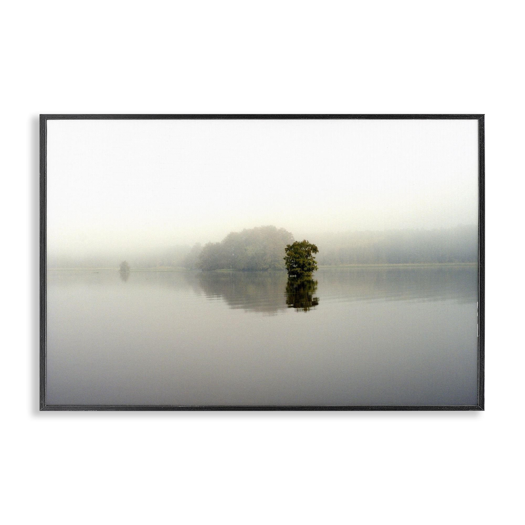 Stupell Industries Misty Lake Reflection Black Framed Giclee Art, design by Gail Peck