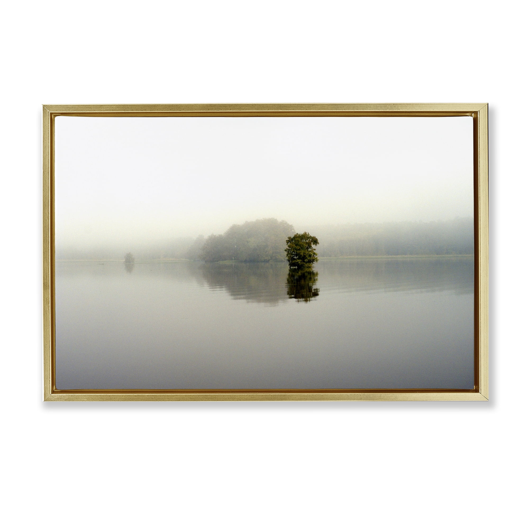 Stupell Industries Misty Lake Reflection Gold Framed Floater Canvas Wall Art, design by Gail Peck
