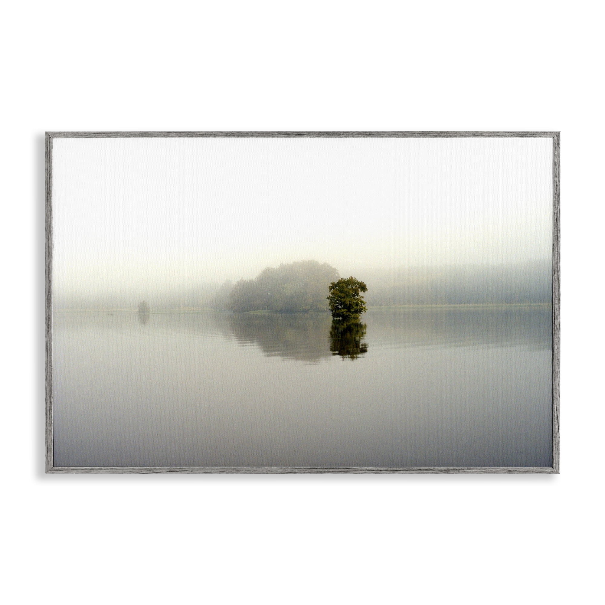 Stupell Industries Misty Lake Reflection Gray Framed Giclee Art, design by Gail Peck