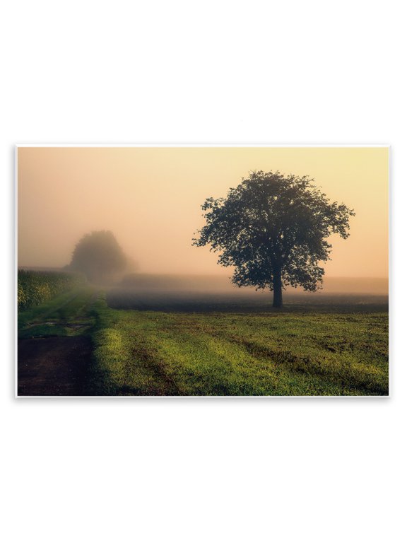 Industries French Country Misty Morning Sunrise Countryside Tree Field Wall Plaque Art, 15 x 10, by Dora Artemiadi