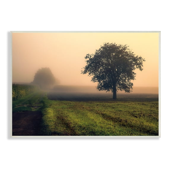 Stupell Industries Misty Morning Sunrise Countryside Tree Field, 10 x 15, Designed by Dora Artemiadi