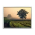 thumbnail image 1 of Stupell Industries Misty Morning Sunrise Countryside Tree Field, 11 x 14, Designed by Dora Artemiadi, 1 of 6