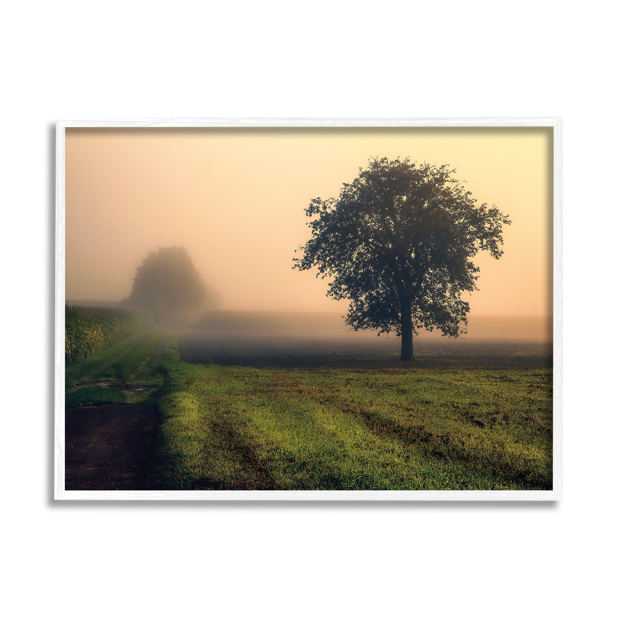 Stupell Industries Misty Morning Sunrise Countryside Tree Field, 16 x 20, Designed by Dora Artemiadi