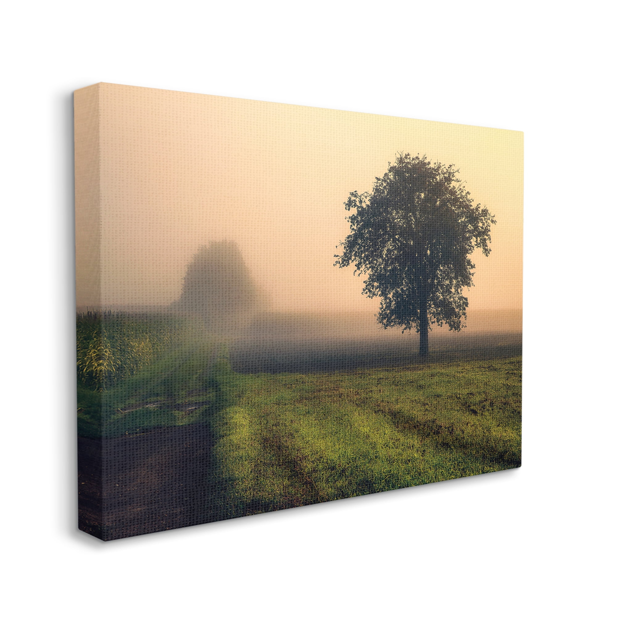 Stupell Industries Misty Morning Sunrise Countryside Tree Field, 24 x 30, Designed by Dora Artemiadi