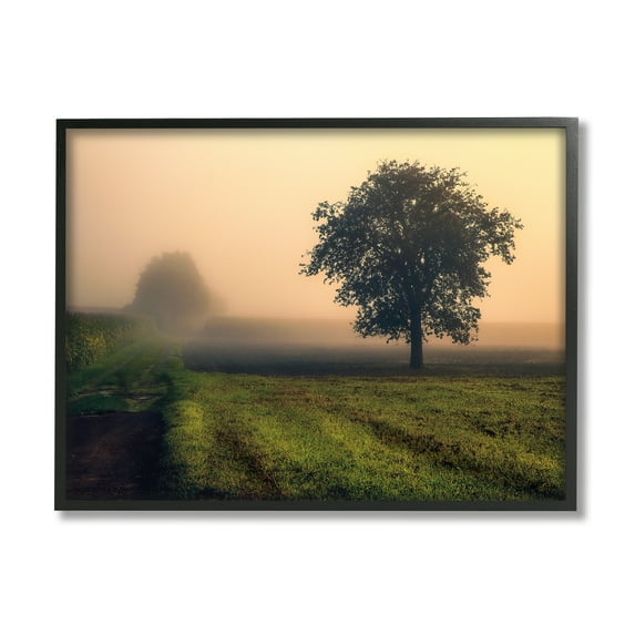Stupell Industries Misty Morning Sunrise Countryside Tree Field Photography Black Framed Art Print Wall Art, 11x14, by Dora Artemiadi