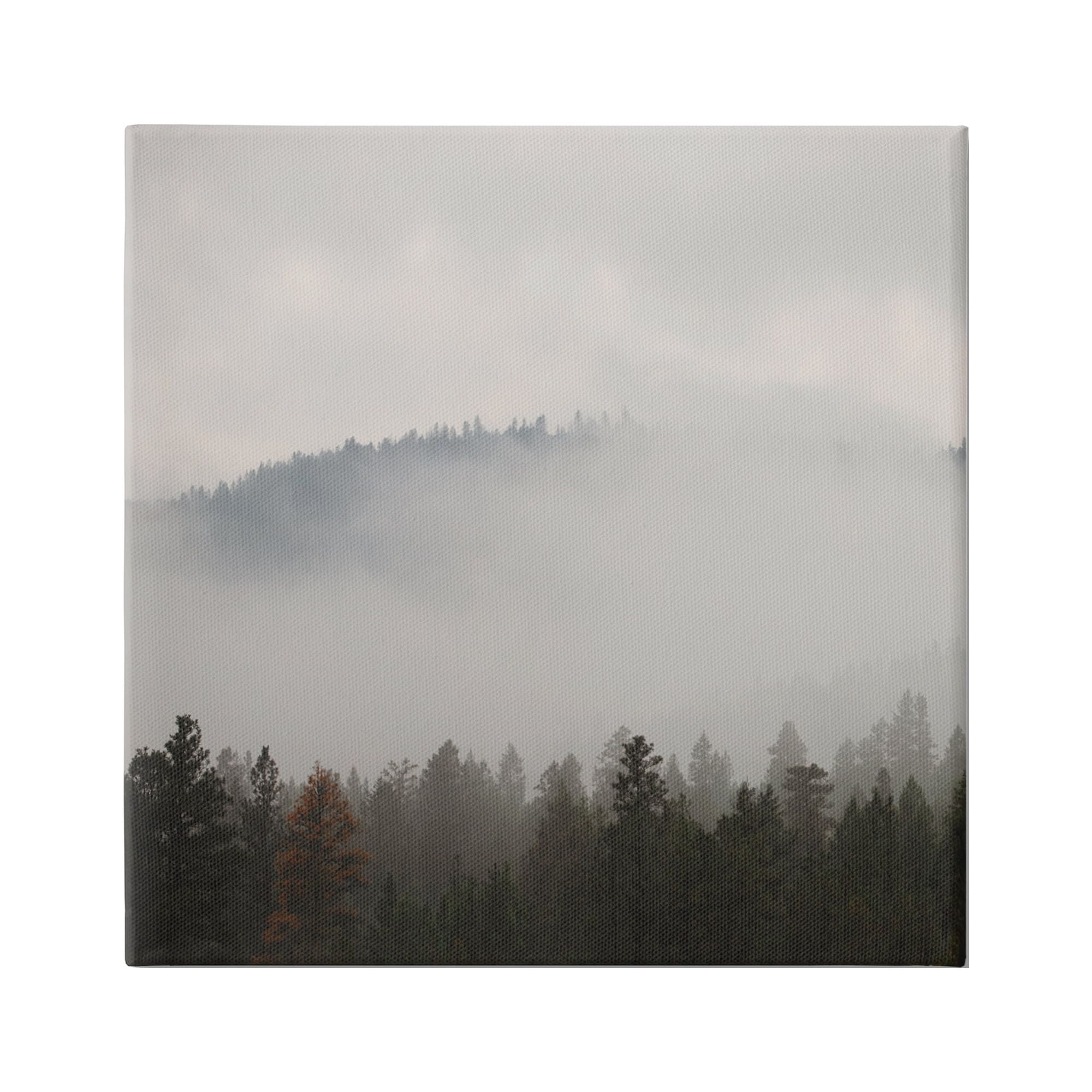 Stupell Industries Misty Mountain Weather Obscured Forest Tree Tops Photograph Gallery Wrapped Canvas Print Wall Art, Design by Carol Robinson