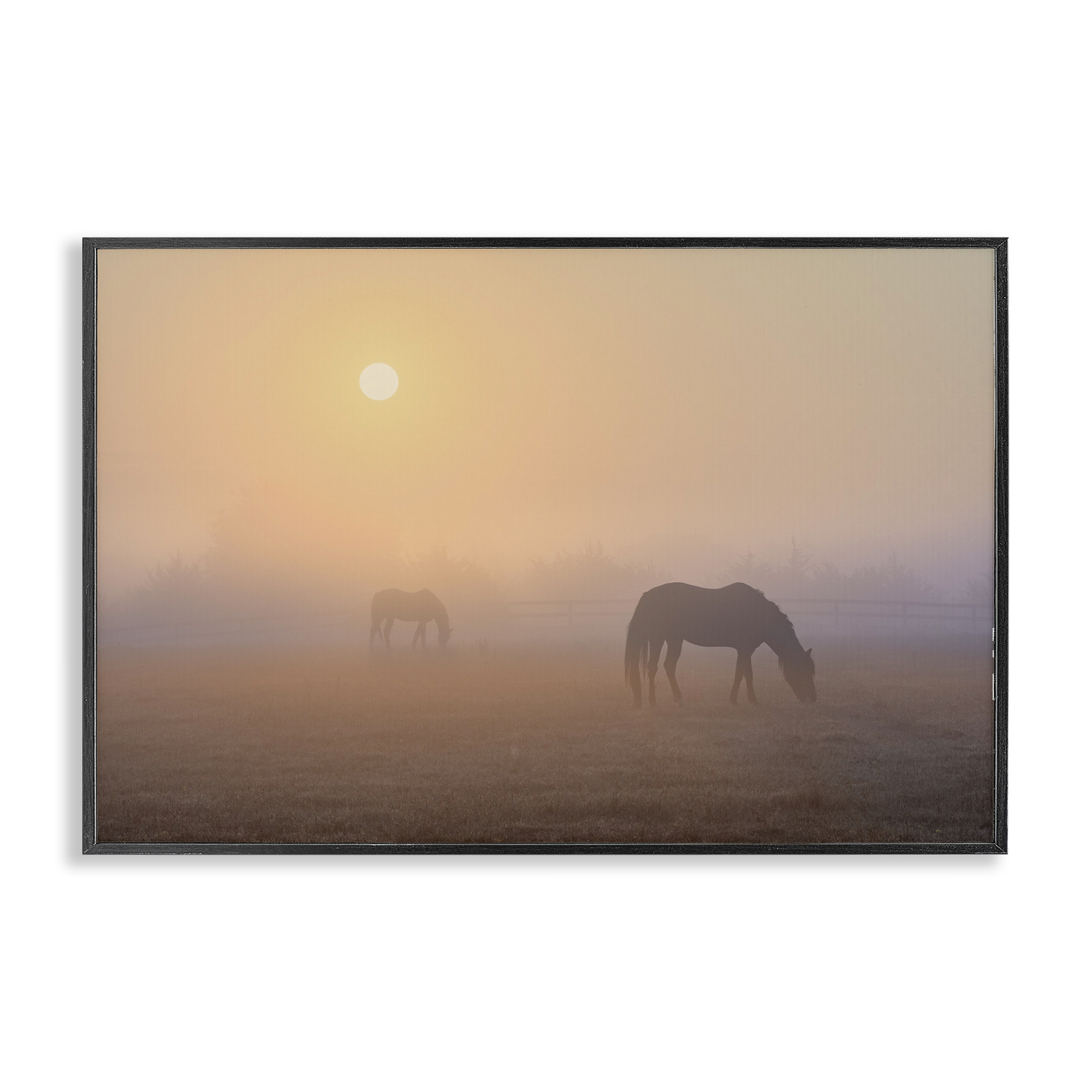 Stupell Industries Misty Sunlit Horses Landscape & Nature Photography Black Framed Art Print Wall Art, 24 x 16