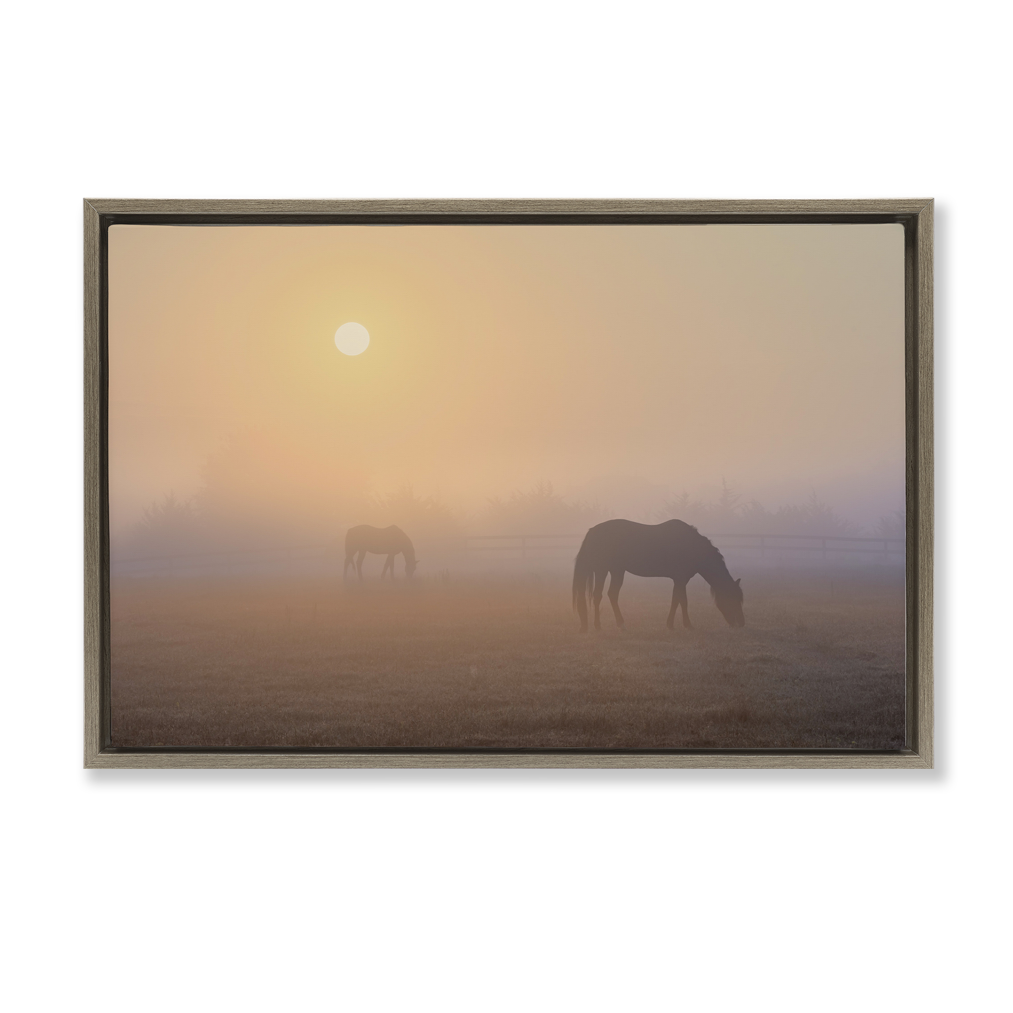Stupell Industries Misty Sunlit Horses Landscape & Nature Photography Brown Floater Framed Canvas Art Print Wall Art, 31 x 21