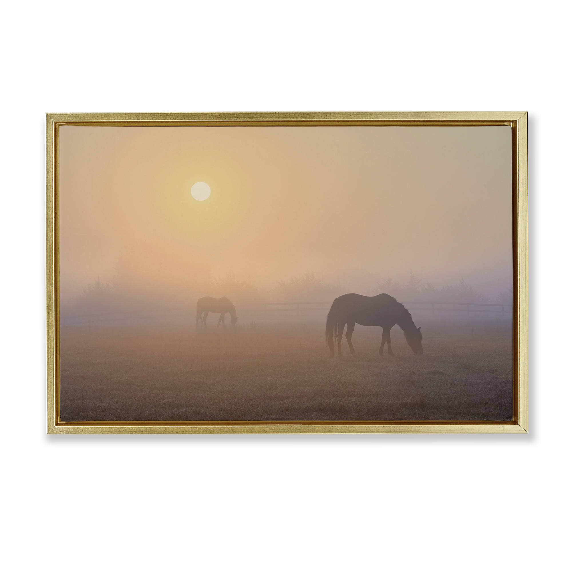 Stupell Industries Misty Sunlit Horses Landscape & Nature Photography Gold Floater Framed Canvas Art Print Wall Art, 31 x 21