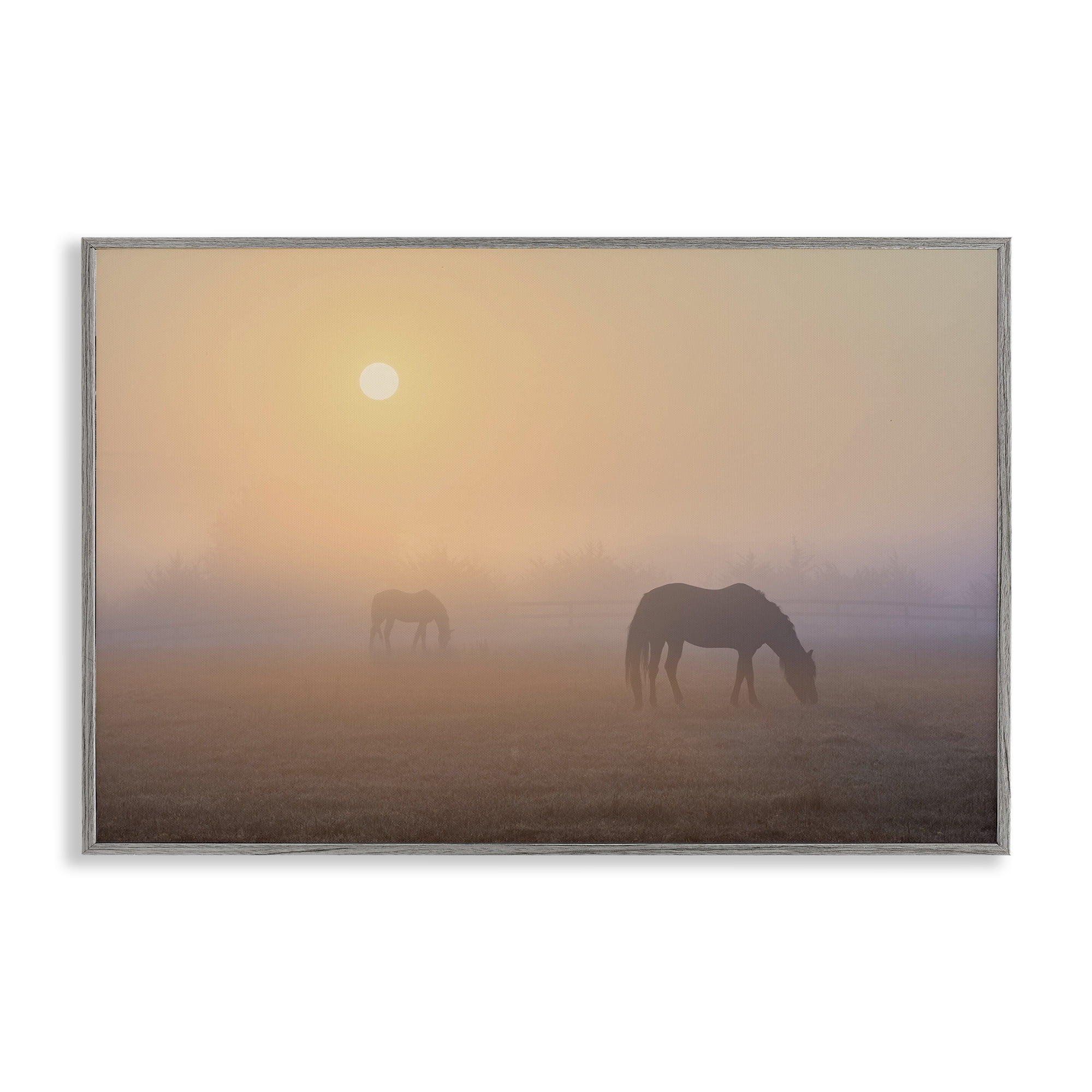 Stupell Industries Misty Sunlit Horses Landscape & Nature Photography Gray Framed Art Print Wall Art, 30 x 20