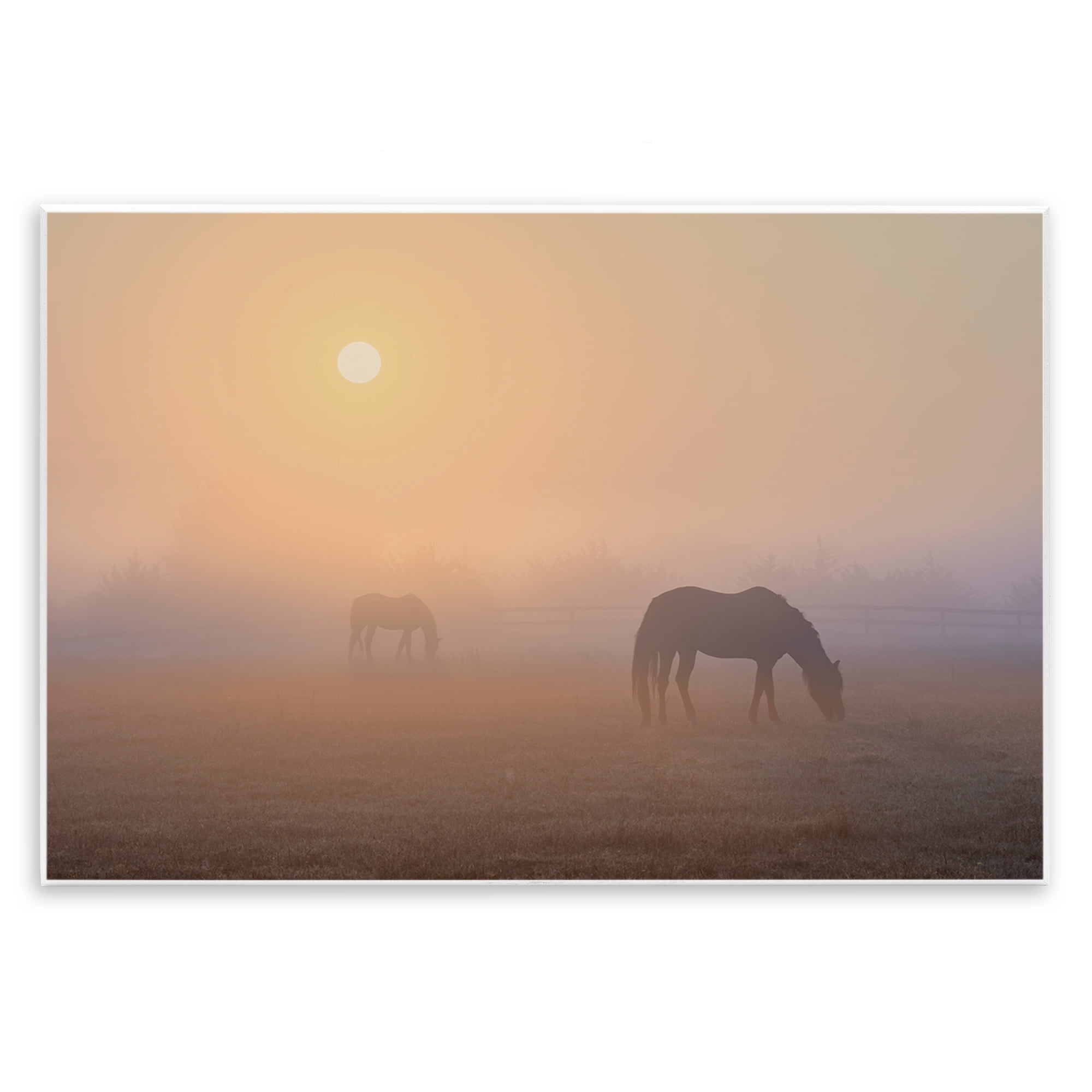 Stupell Industries Misty Sunlit Horses Landscape & Nature Photography Unframed Art Print Wall Art, 15 x 10