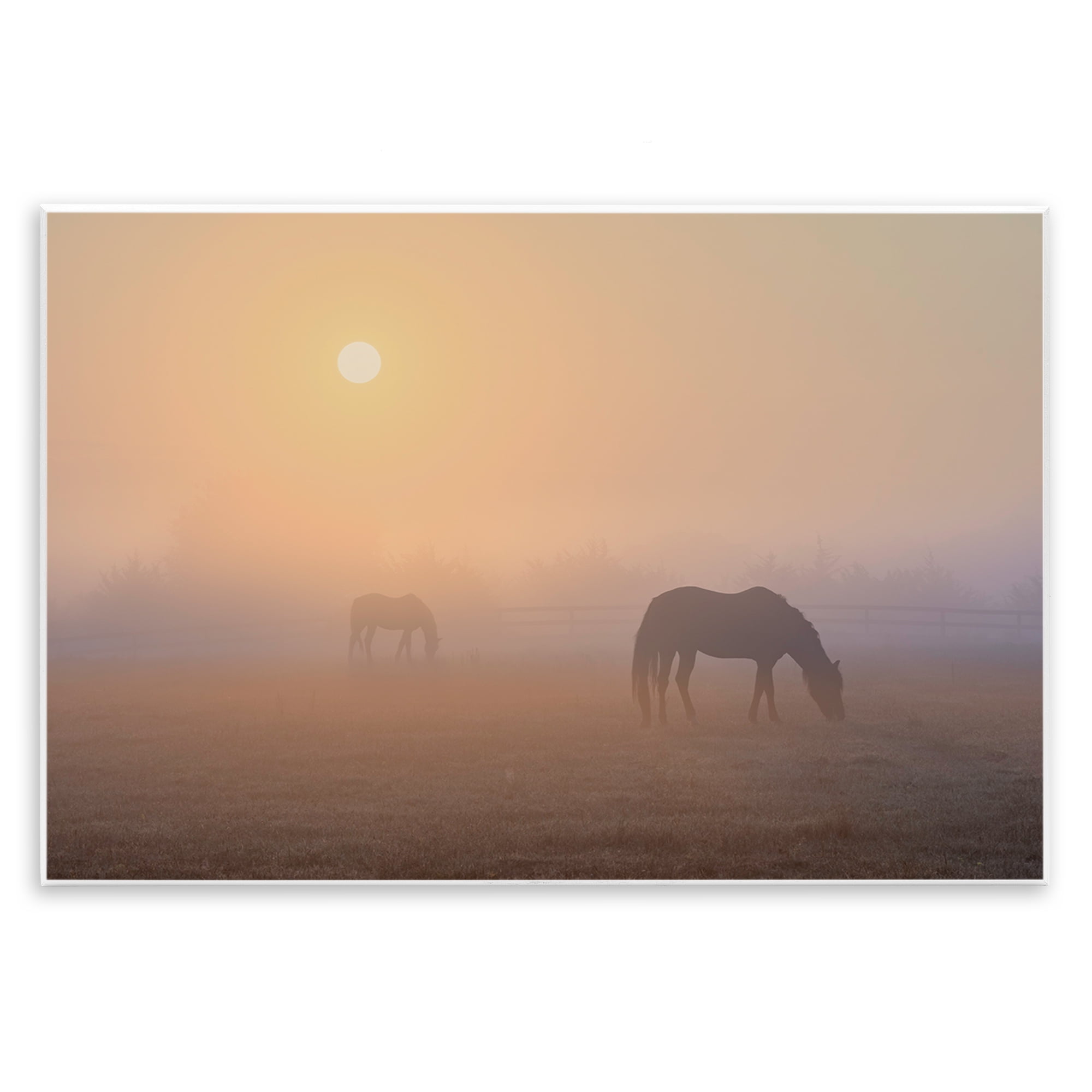Stupell Industries Misty Sunlit Horses Landscape & Nature Photography Unframed Art Print Wall Art, 19 x 13