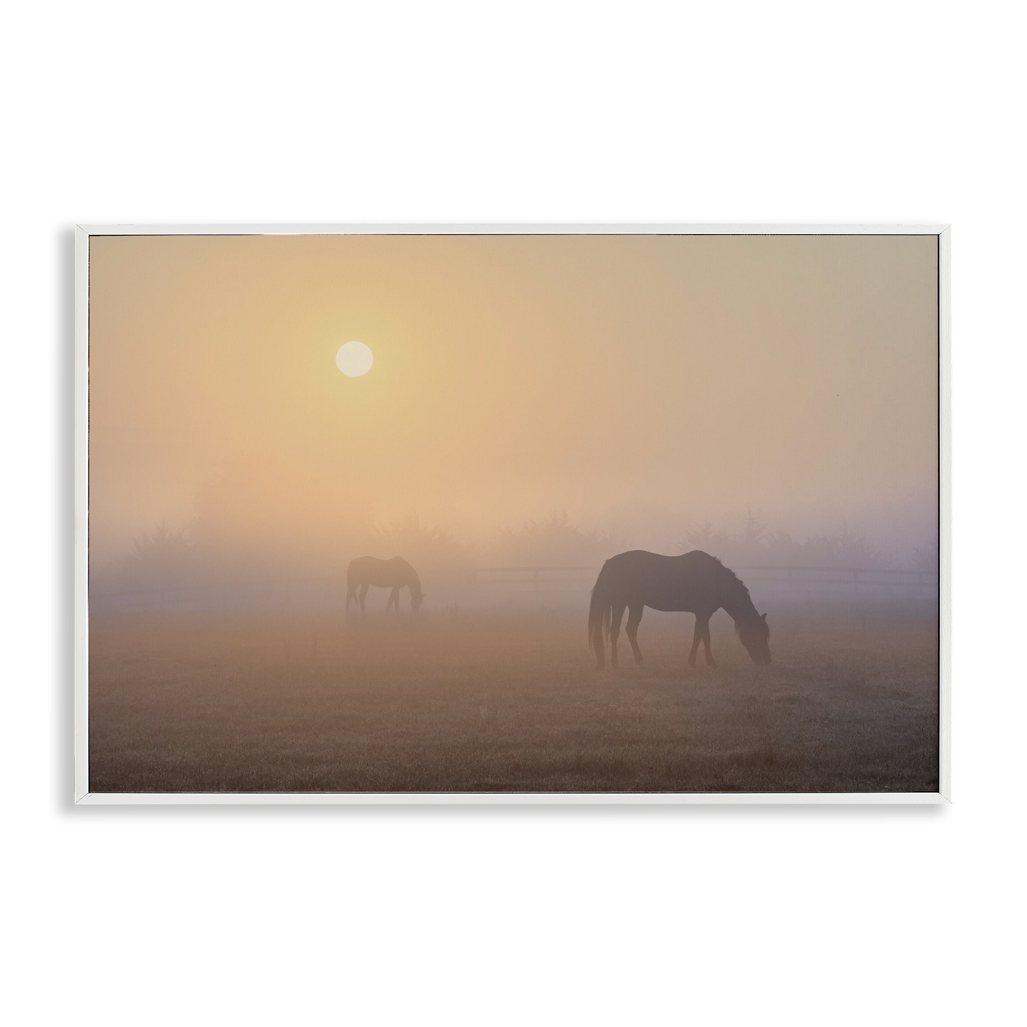 Stupell Industries Misty Sunlit Horses Landscape & Nature Photography White Framed Art Print Wall Art, 24 x 16