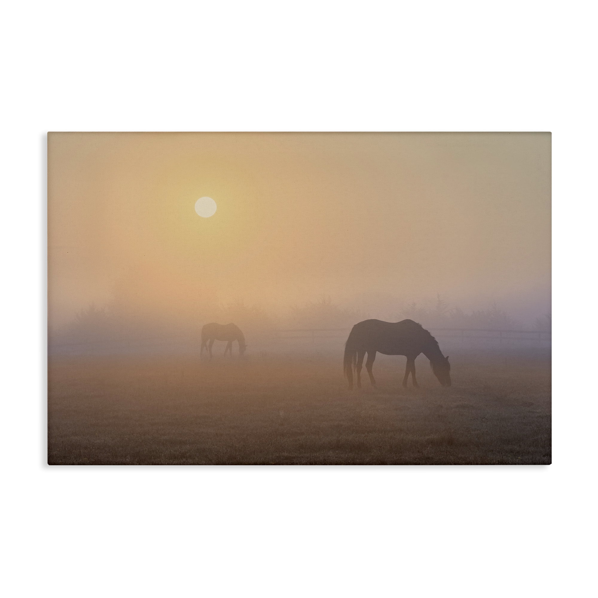 Stupell Industries Misty Sunlit Horses Landscape & Nature Photography Wrapped Canvas Art Print Wall Art, 45 x 30