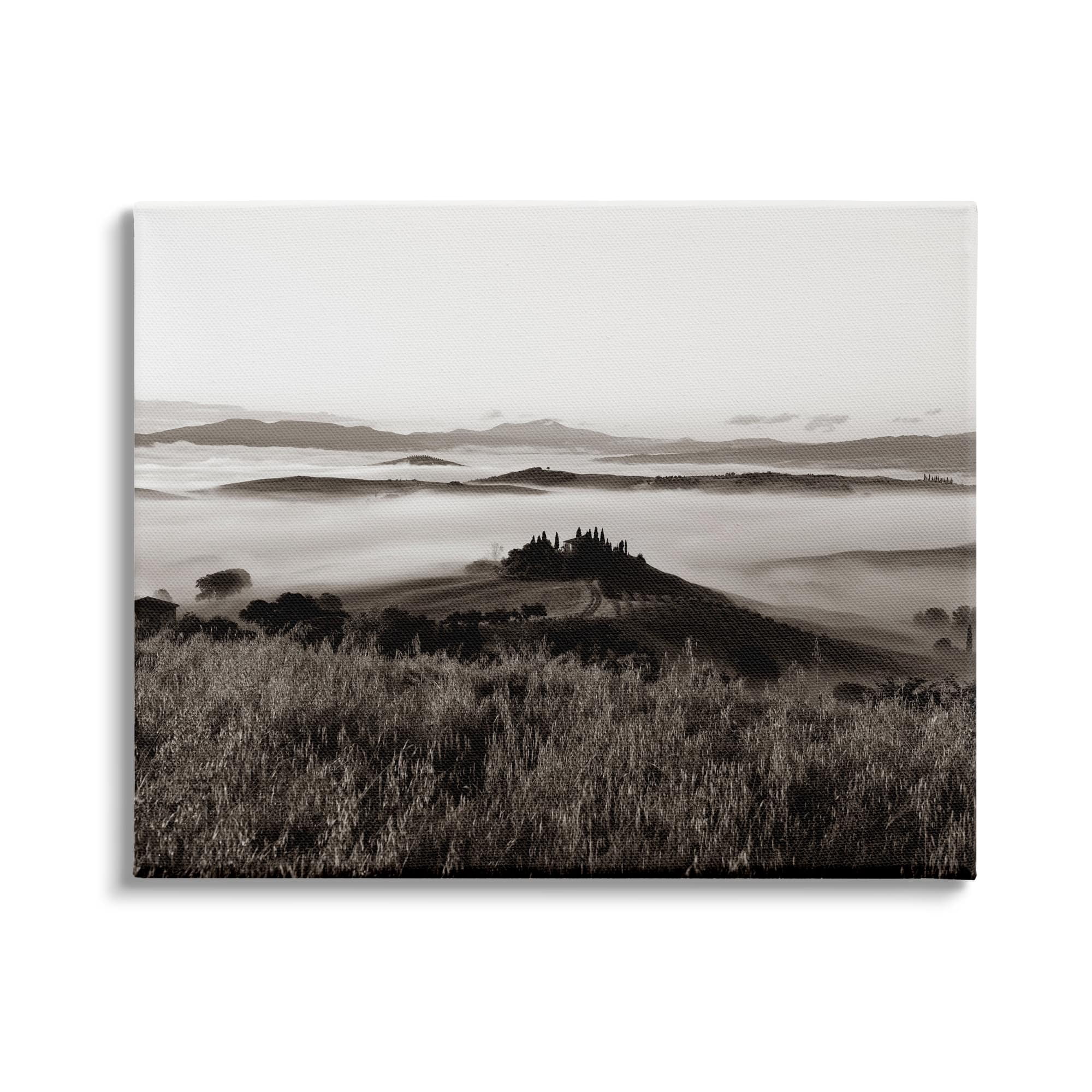 Stupell Industries Misty Vineyard Mountain Landscape Countryside Field Photography, 40 x 30, Design by Nancy Crowell