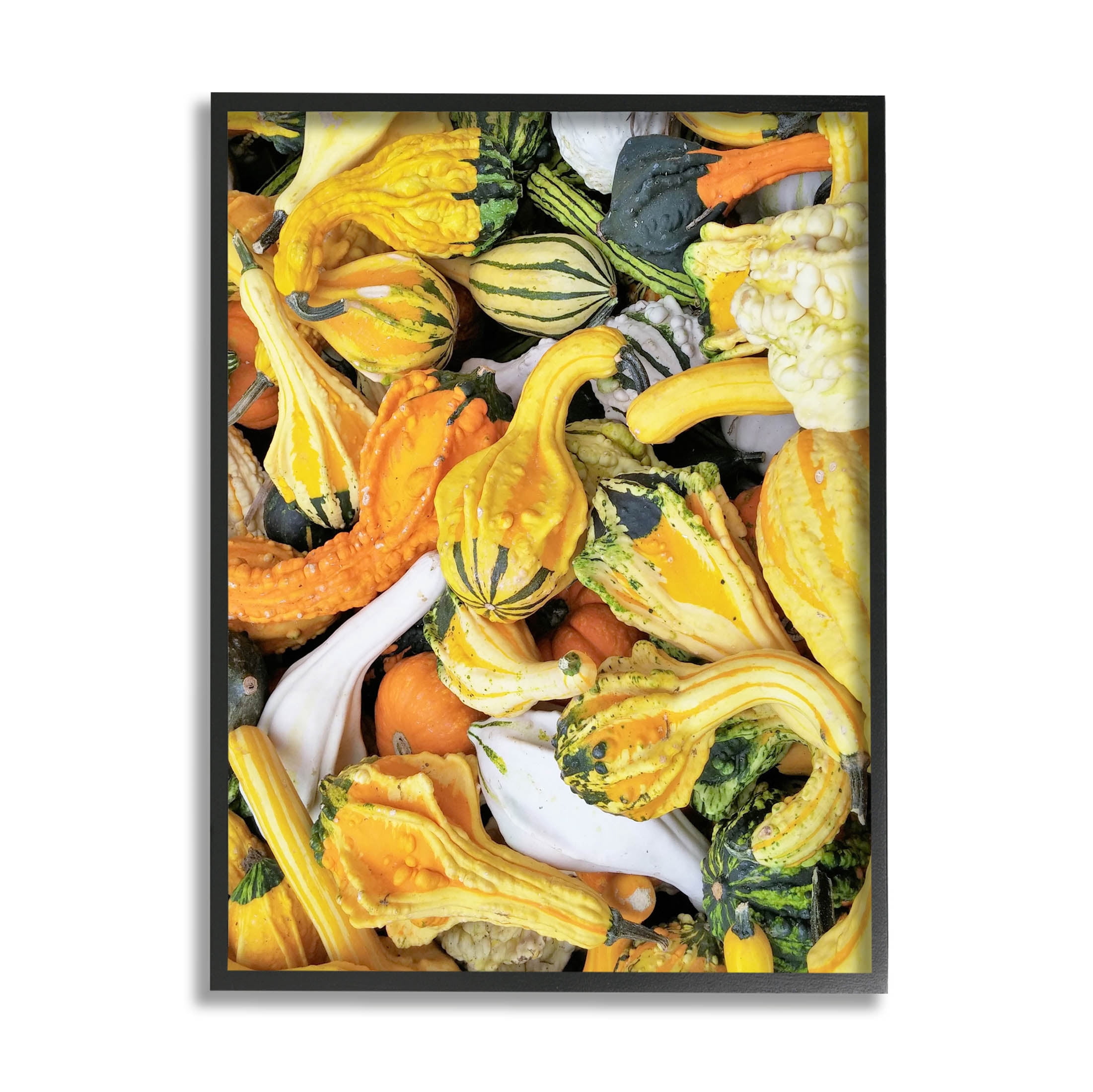 Stupell Industries Mixed Autumn Gourd Arrangement Photograph Black Framed Art Print Wall Art, Design by Lil' Rue